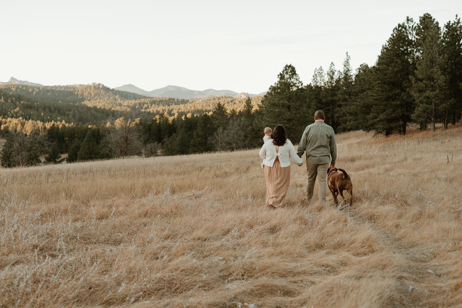 Wide landscape view of a couple walking through a golden field with mountains and trees in the distance.