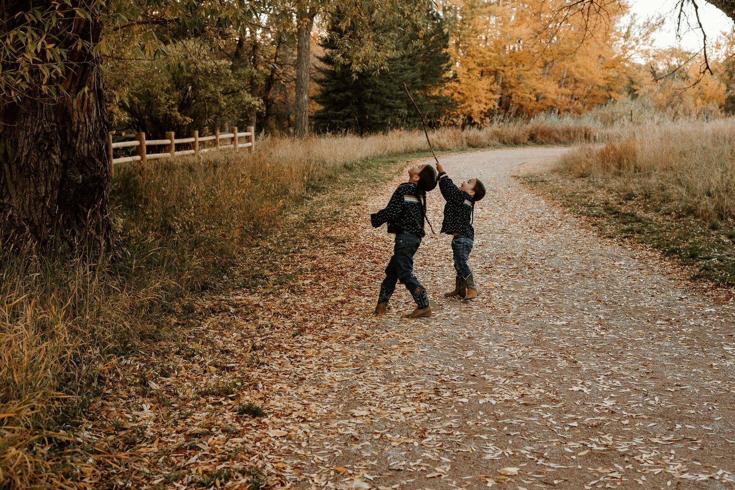 Family silhouettes walking together on a gravel path during golden hour.