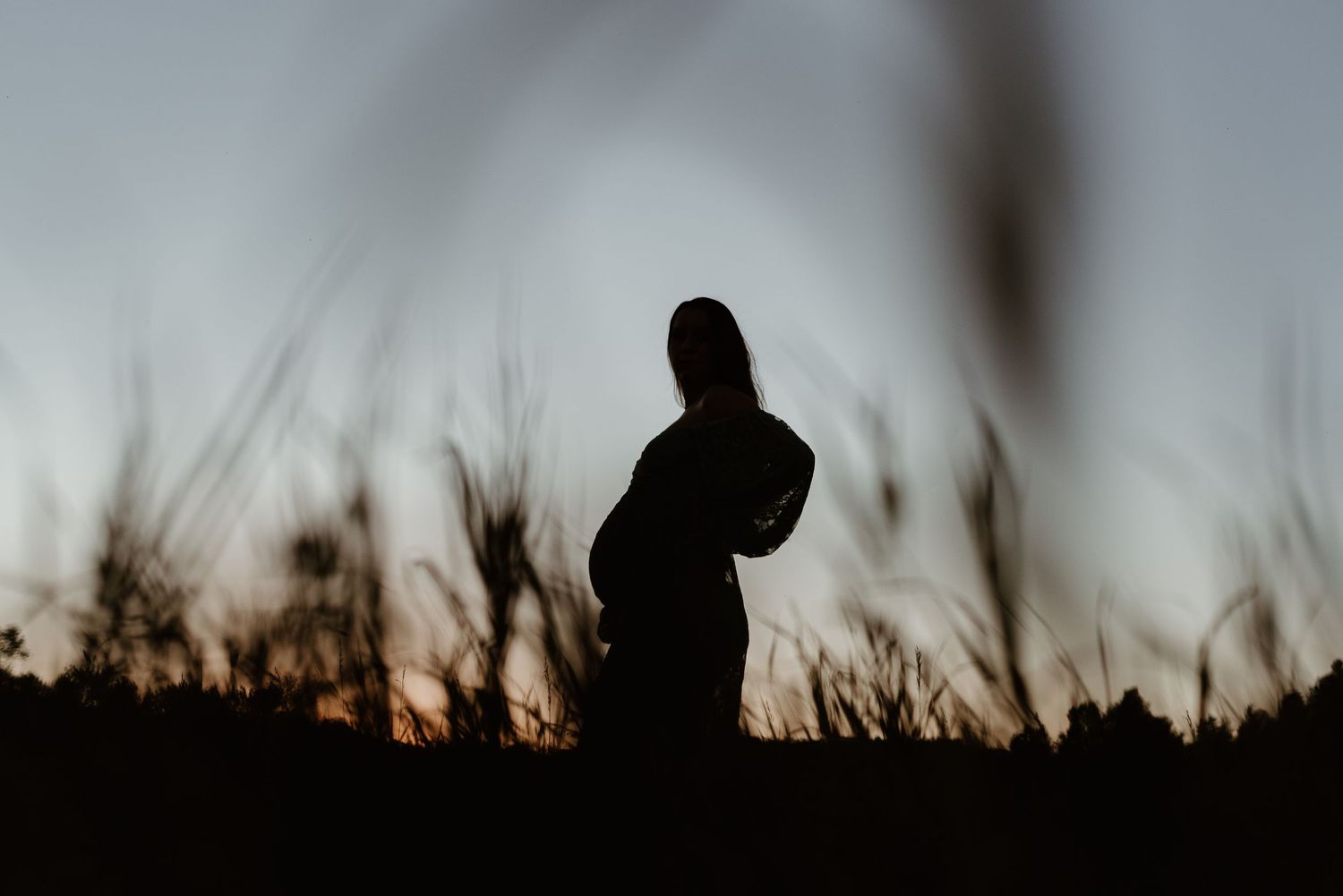 A silhouetted figure stands against a dramatic sunset sky with tall grass and brush in the foreground.