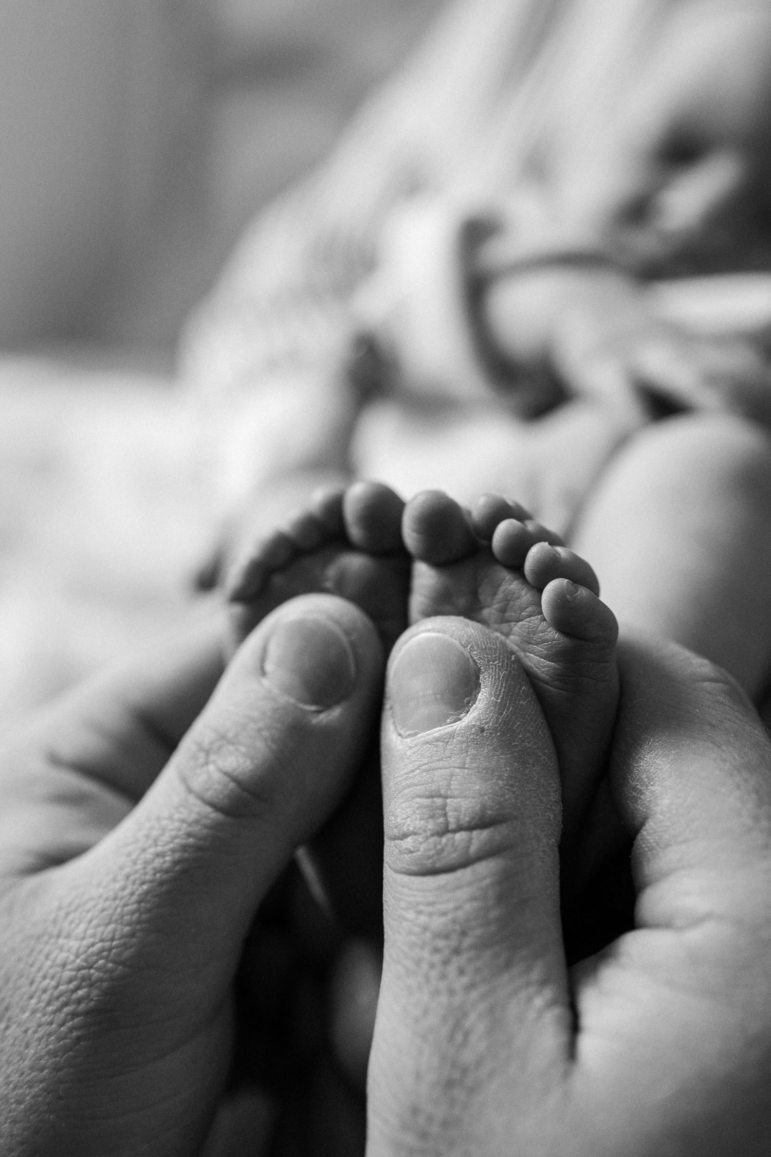 Black and white macro photographs showing the tiny toes of a baby's feet in sequential detail.
