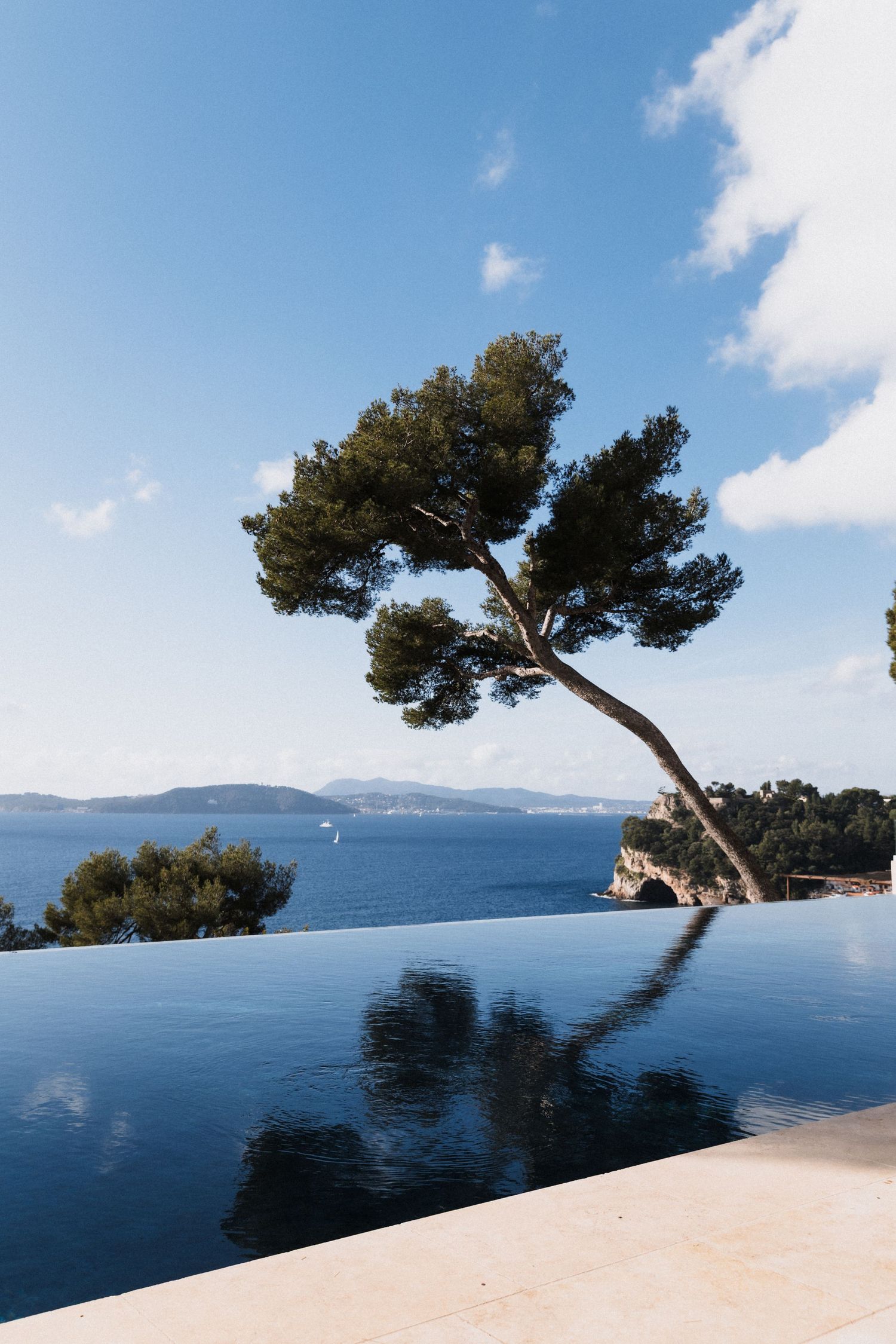Villa Rocabella - Infinity pool reflecting a leaning Mediterranean pine tree with stunning blue sea and mountain views beyond.