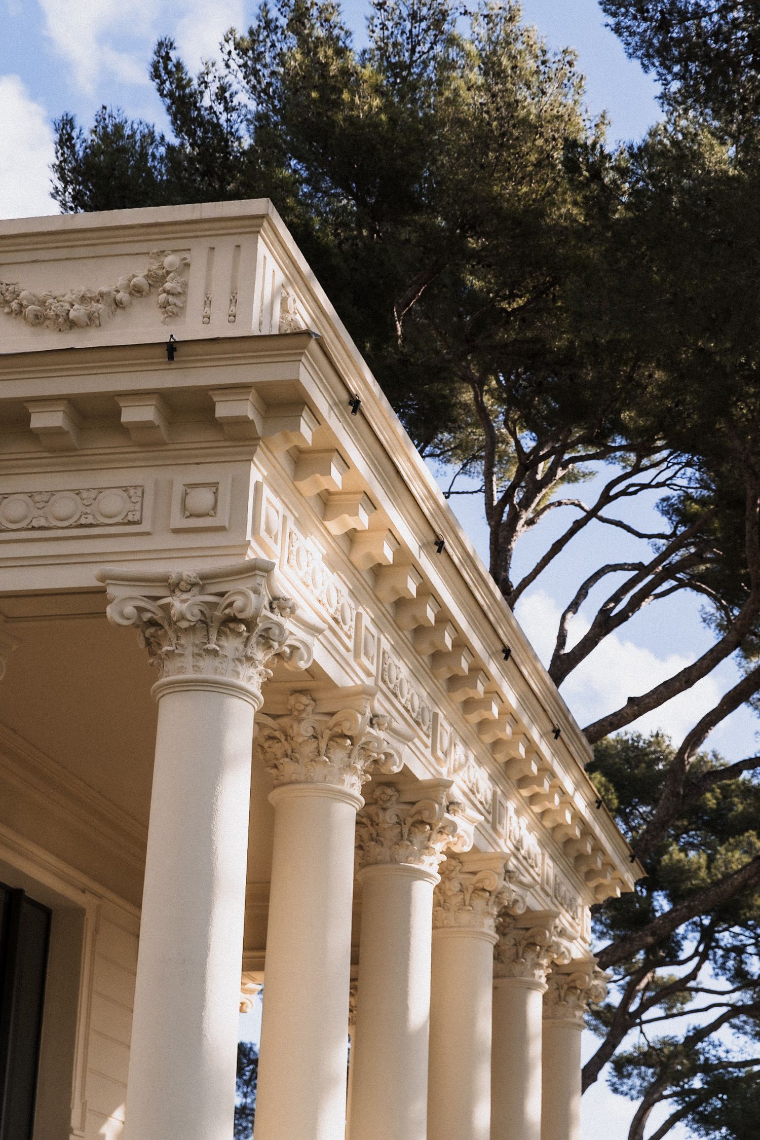 Elegant white Corinthian columns line a classical building exterior with pine trees visible against a bright sky.