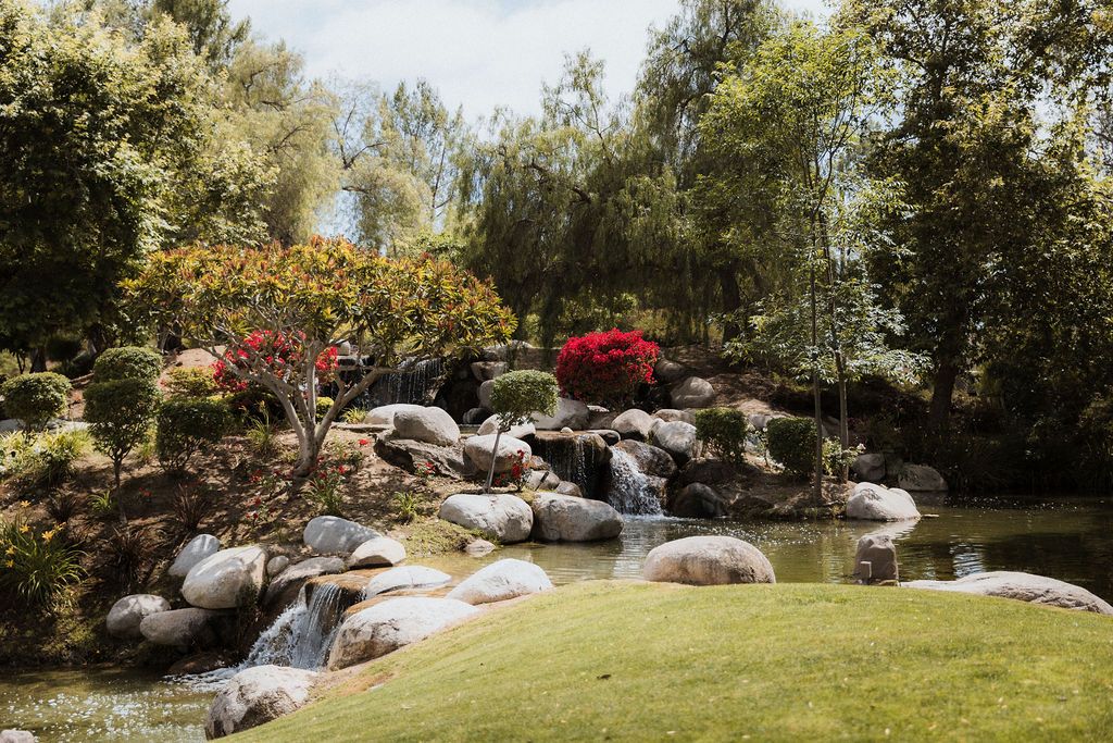 A panoramic view of a tranquil garden waterfall feature with rocks and lush landscaping in natural sunlight.