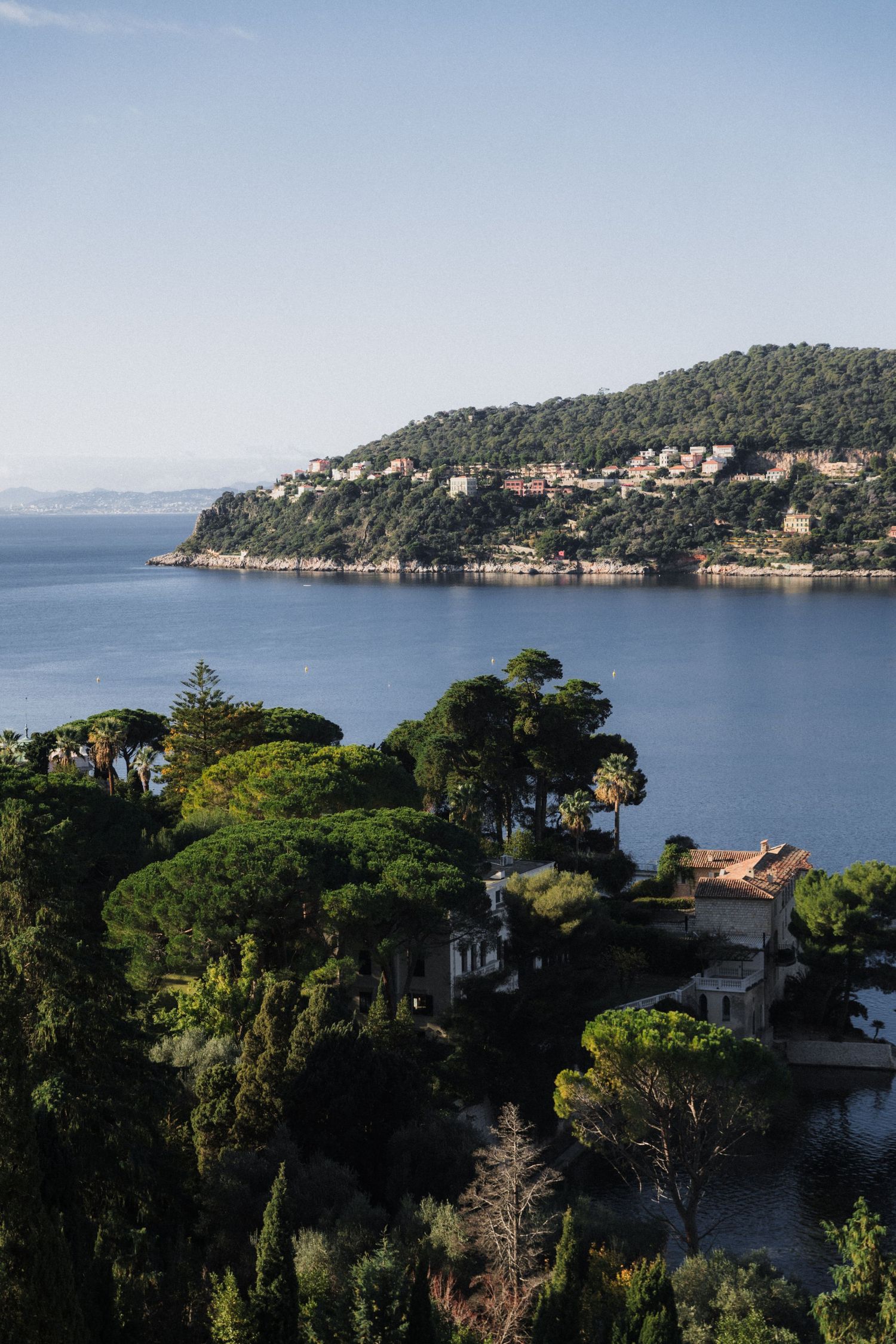 Saint-Jean-Cap-Ferrat - Aerial view of lush green trees and villas overlooking a calm blue Mediterranean bay with a forested hillside.
