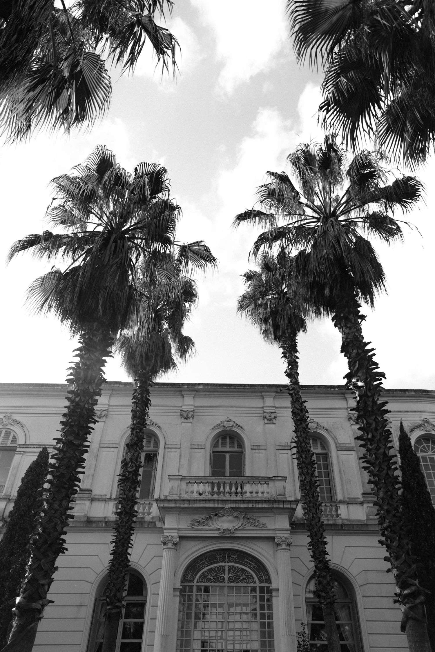 Black and white architectural photo of palm trees silhouetted against a historic building with arched windows and balconies.