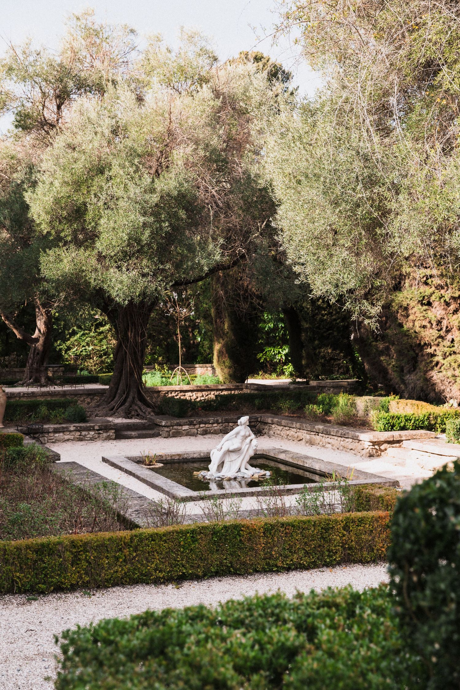 Ancient olive trees line a peaceful garden path with stone walls and gravel walkways in a Mediterranean setting.