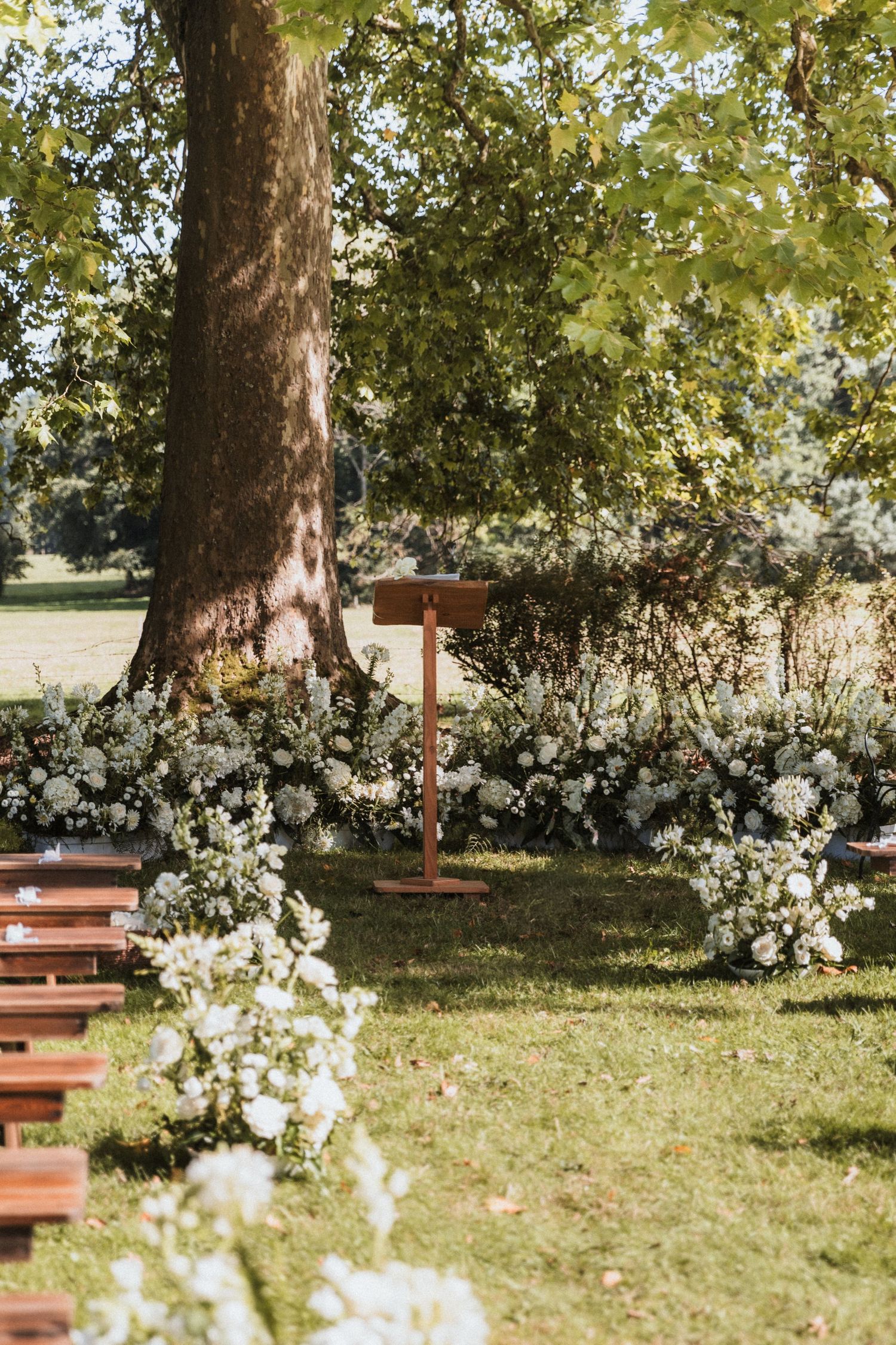 Outdoor wedding ceremony setup with wooden benches and white floral arrangements under tall trees.