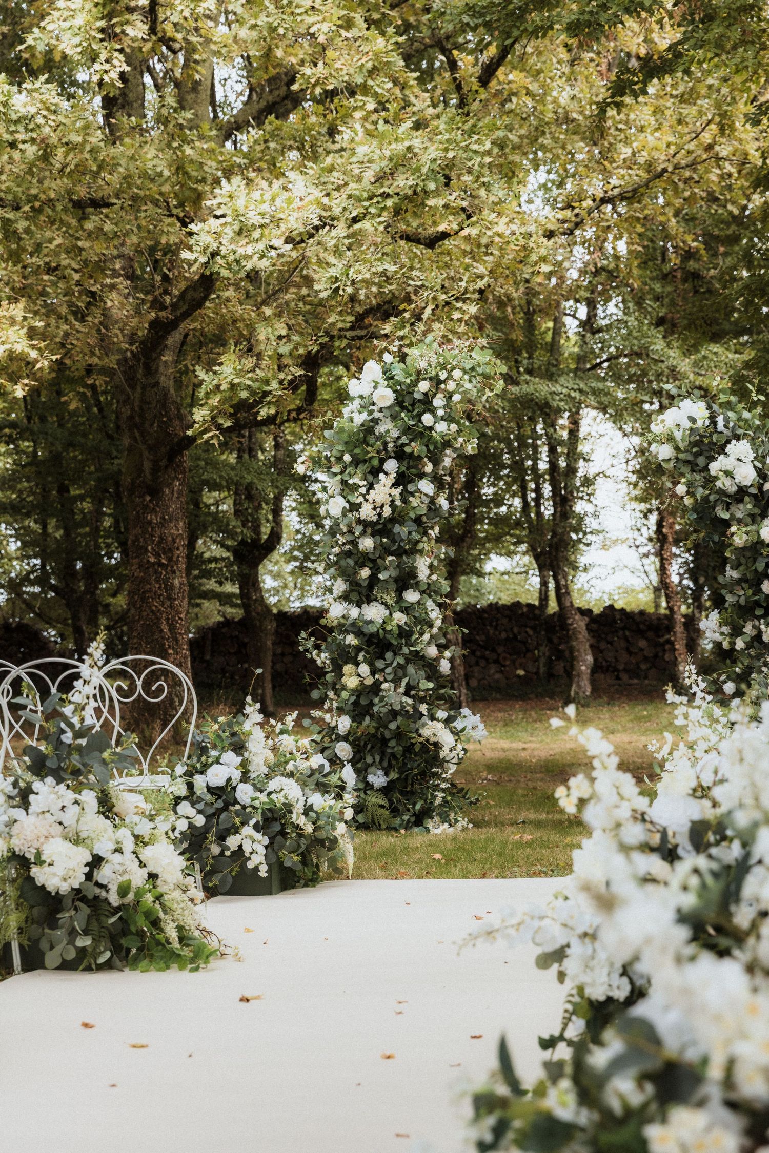 White flowers bloom in the foreground with sunlit trees creating a dreamy woodland backdrop in a natural outdoor setting.