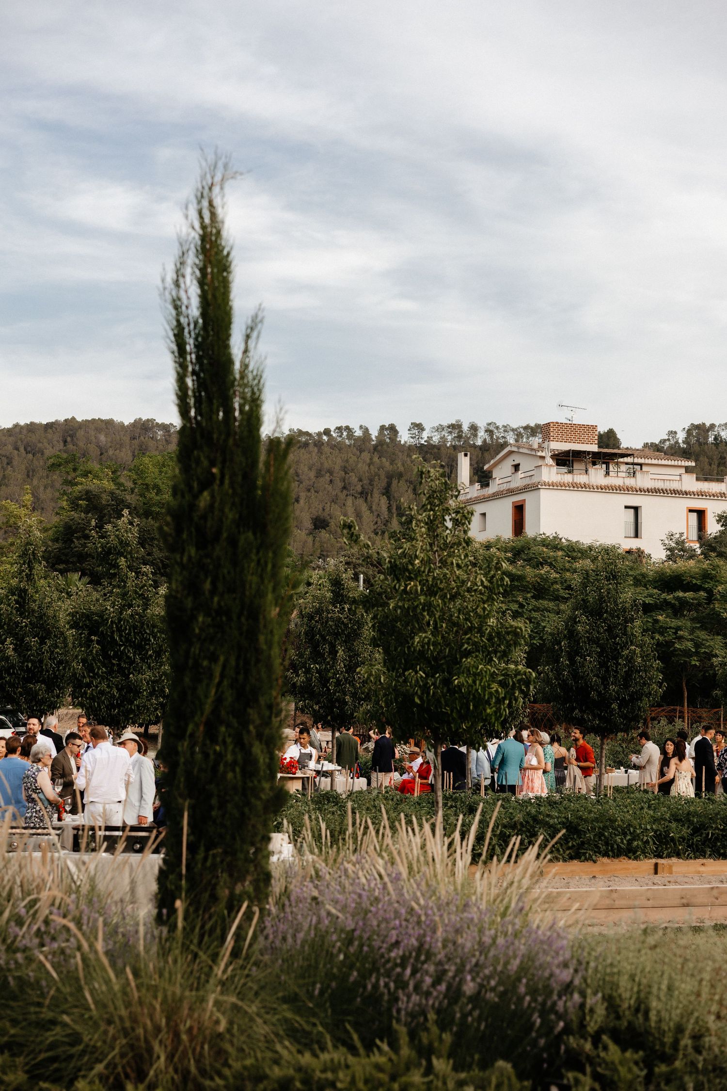 Outdoor wedding venue with cypress trees, lavender plants, and guests gathering in a Mediterranean garden setting. Wedding in Mas de l'Illa.