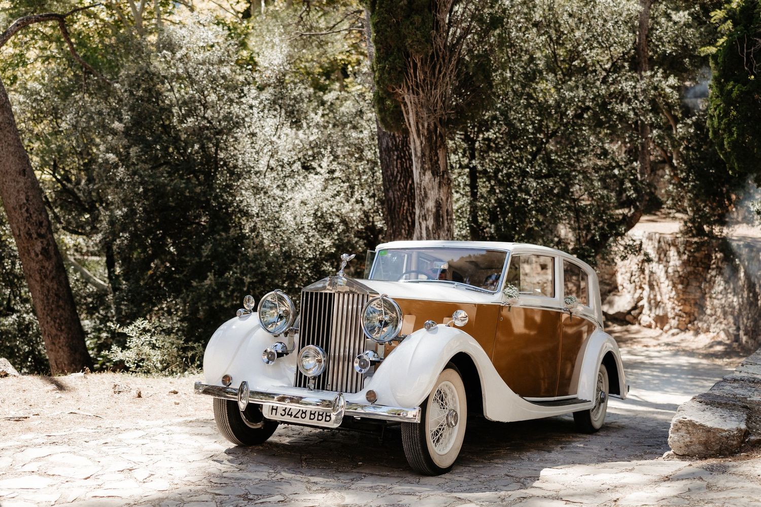 A row of vintage luxury cars including Rolls Royce vehicles parked on a tree-lined driveway in dappled sunlight. Wedding in Villa Retiro.