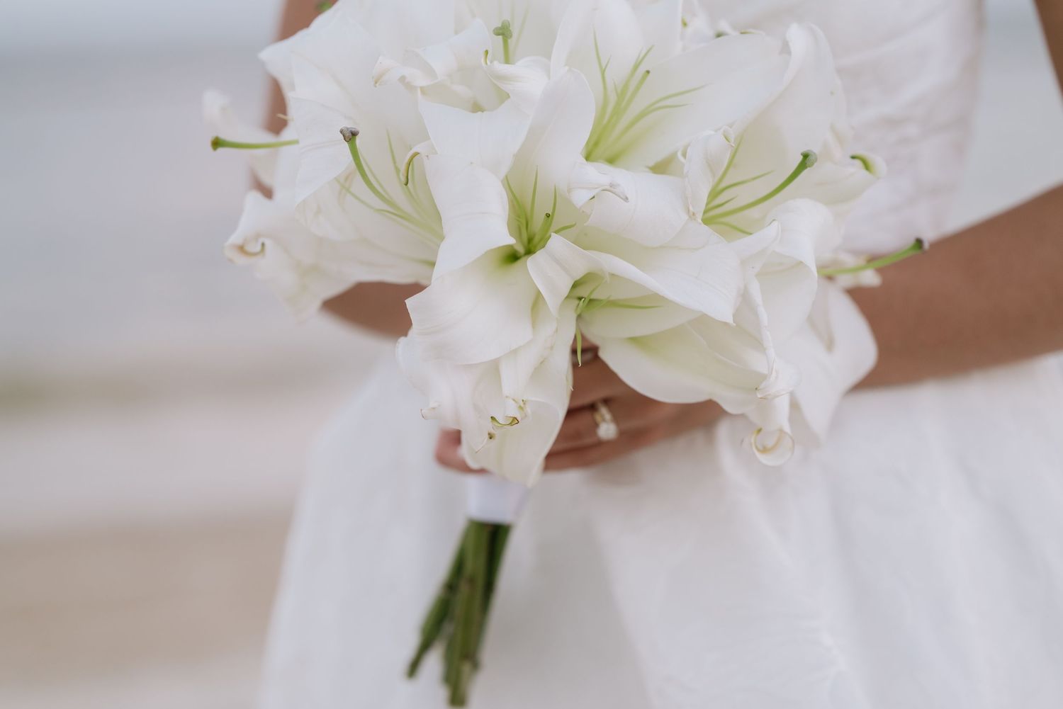 Close-up view of white lily flowers with dewdrops arranged in a sequence against a light background.
