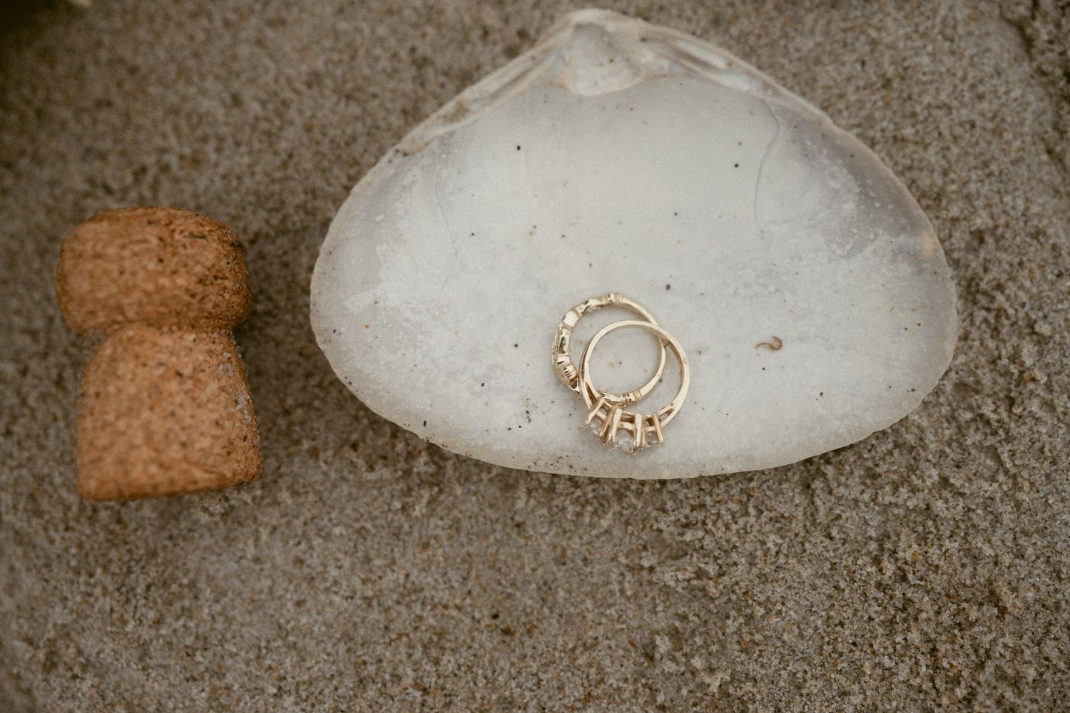 Wedding rings displayed on white seashells against a sandy beach background.