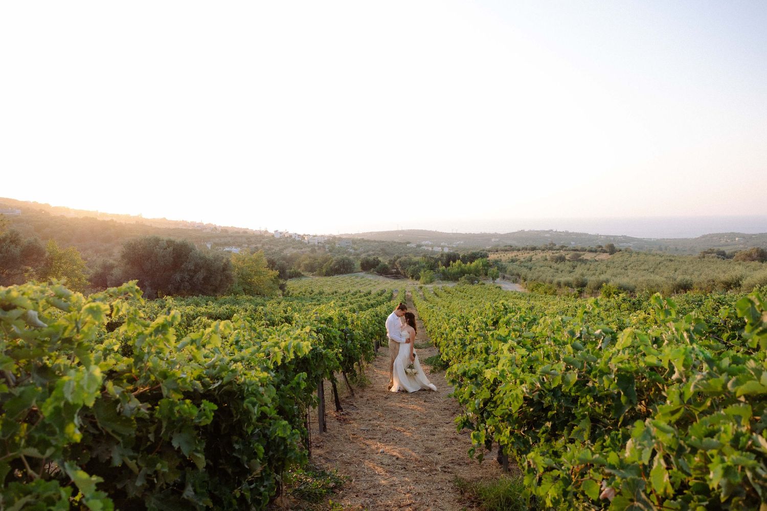 a wide photo of a bride and groom in a green vineyard field holding each other at sunset