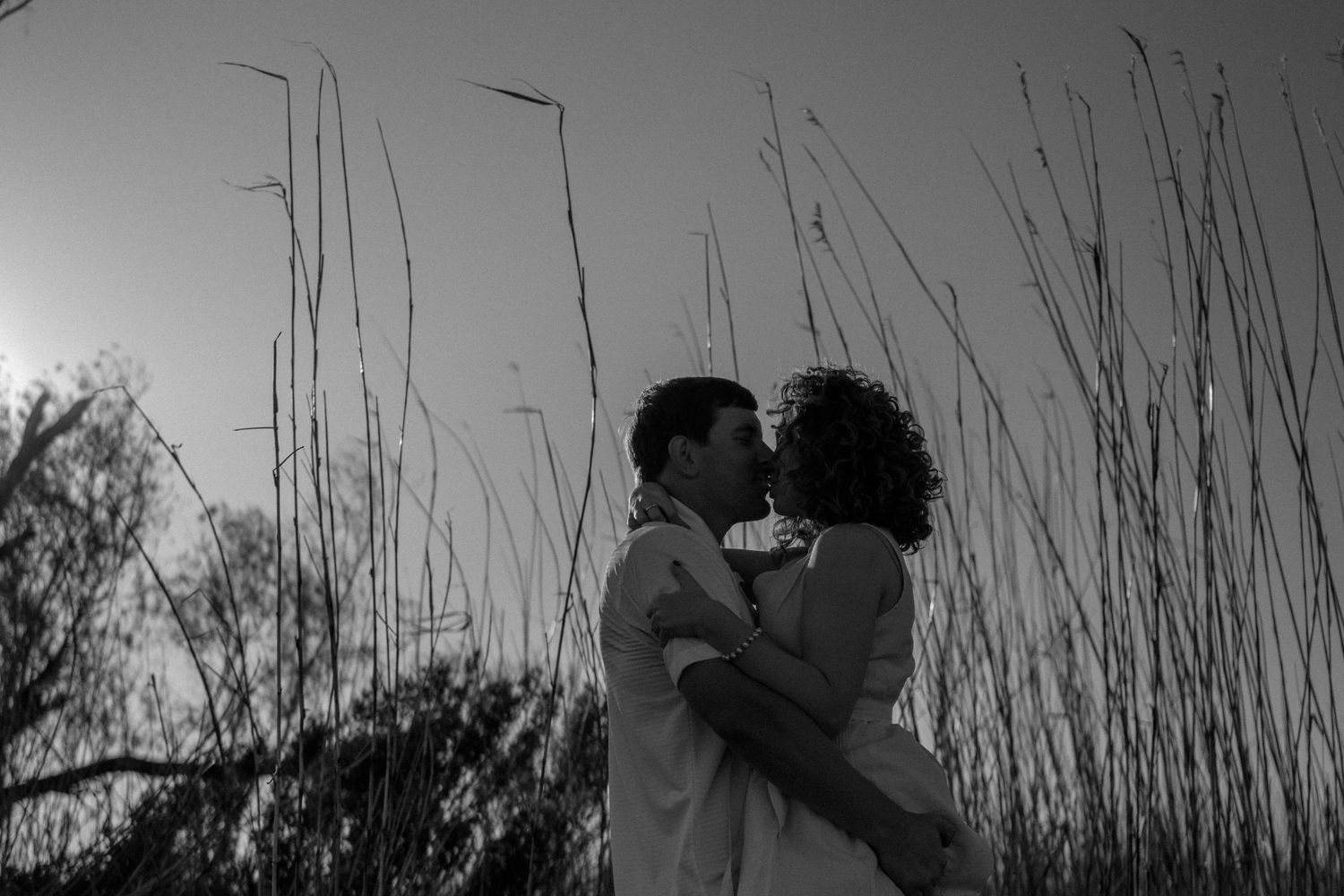 Black and white photo of a couple sharing a romantic kiss outdoors among tall grasses at sunset.