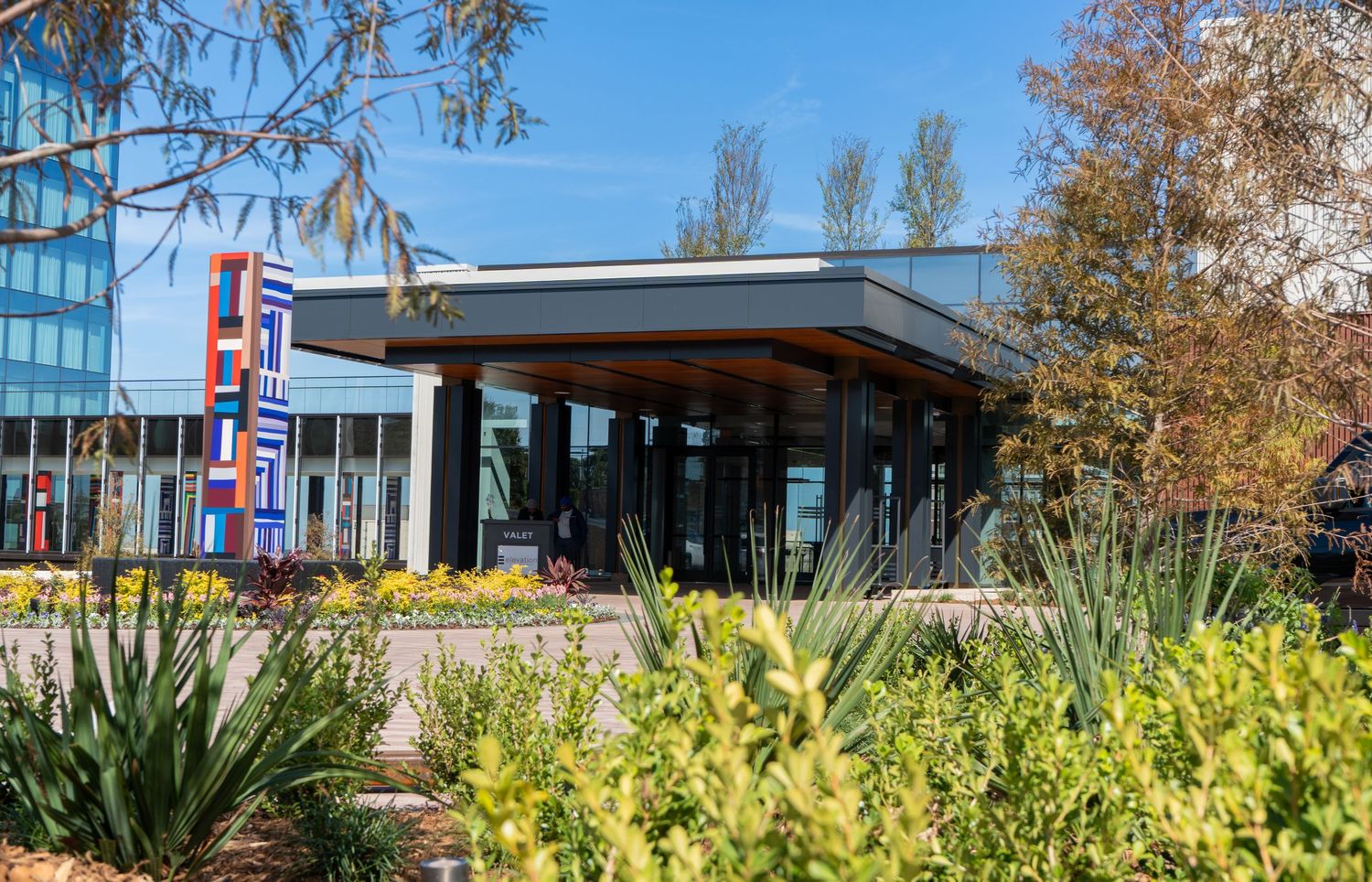 Modern office building entrance with glass walls surrounded by landscaped garden and yellow plants on a sunny day.