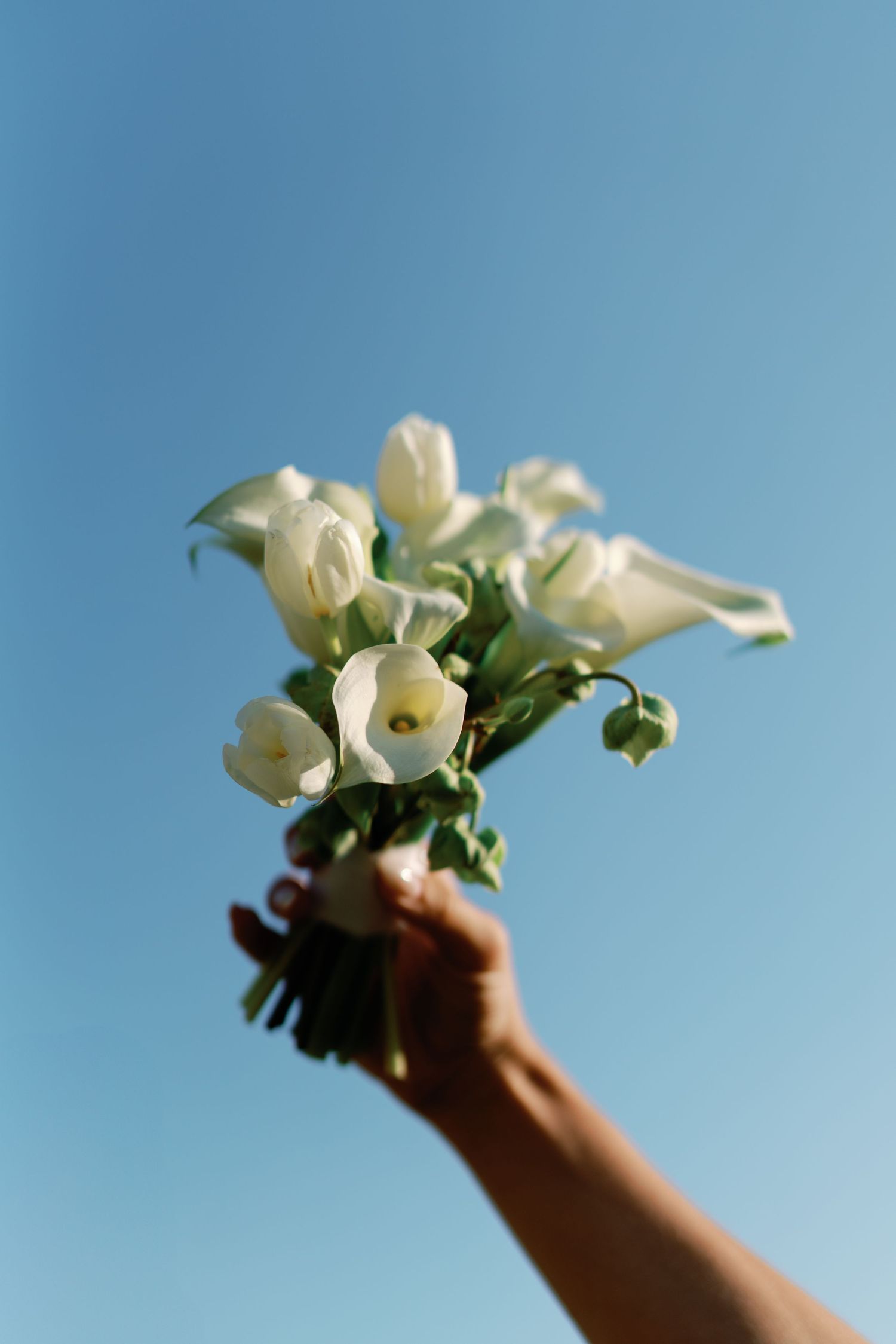 Hand holding a delicate white bouquet against a bright blue sky.