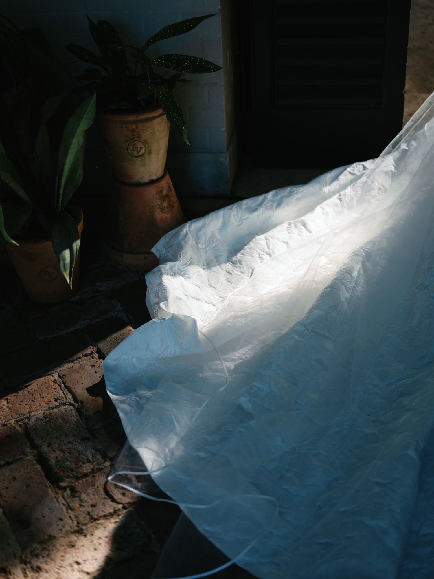 Artistic play of light and shadow on draped white fabric in natural setting.
