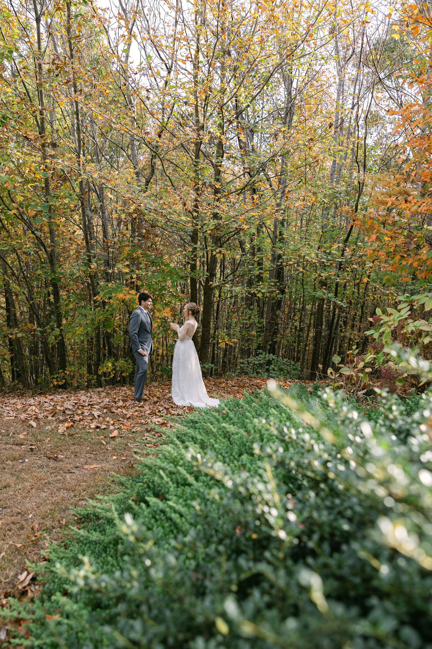Bride and groom standing in fall foliage field surrounded by golden trees in South Carolina