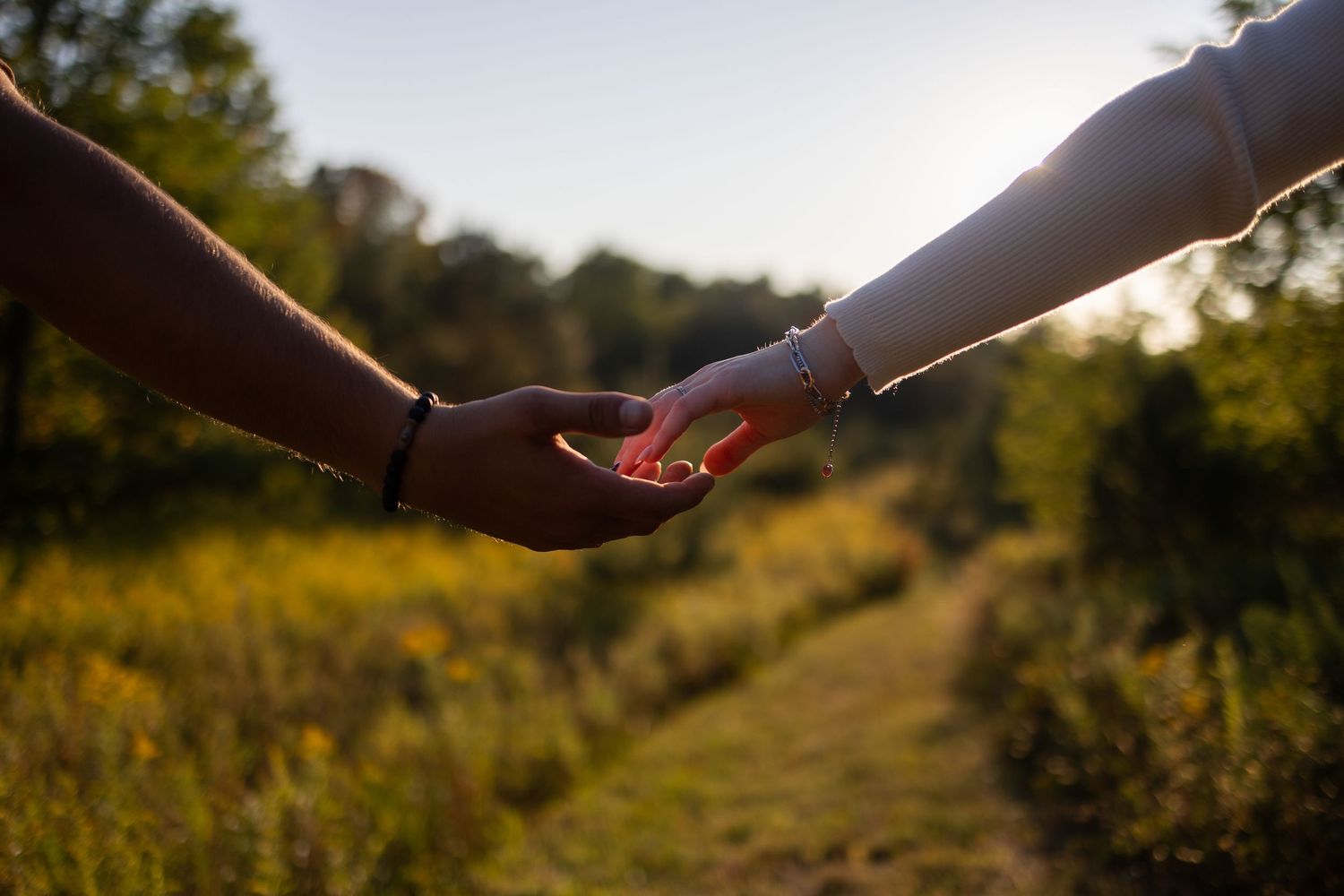 Two people gently touching hands on a sunlit nature path in Western New York surrounded by golden wildflowers and green trees.