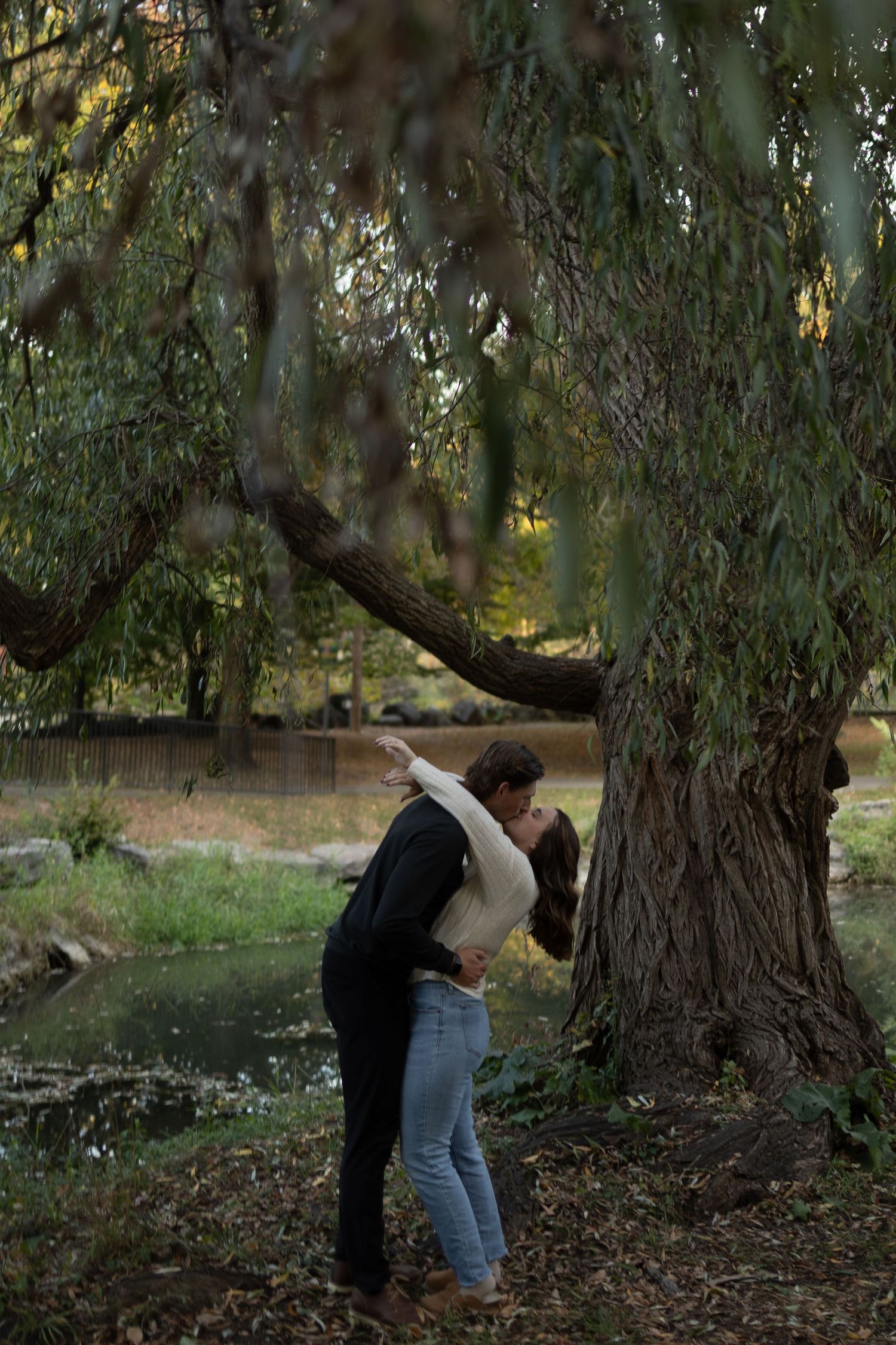 Couple embracing and kissing under a weeping willow tree by a serene pond in a lush green park in Williamsville New York
