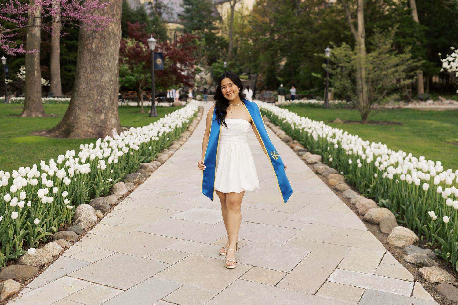 Graduate in blue stole walking along path lined with white tulips.