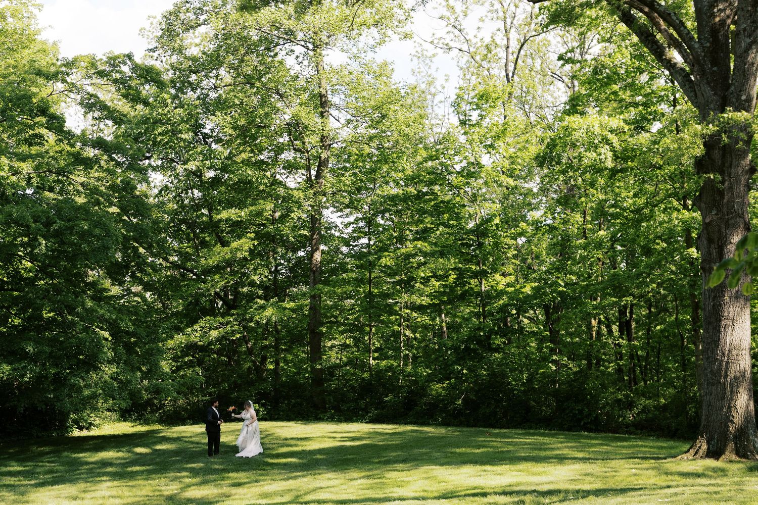Outdoor wedding venue with green trees and sunlit lawn creating a natural backdrop.