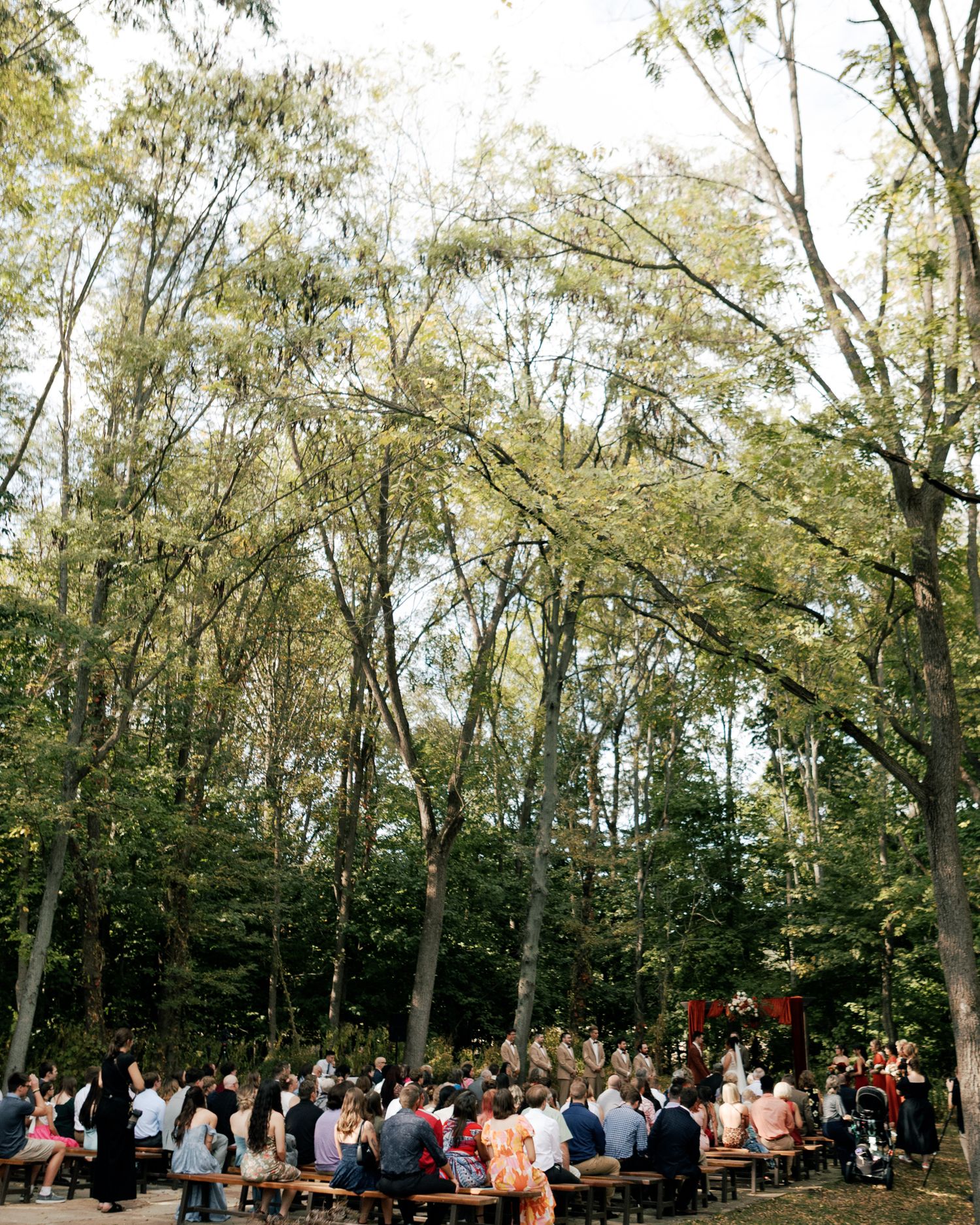 Panoramic view of wedding guests gathered outdoors under a canopy of tall trees during a forest ceremony.