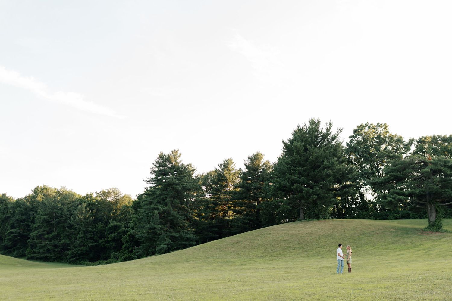 Panoramic view of rolling green hills and trees under blue sky.