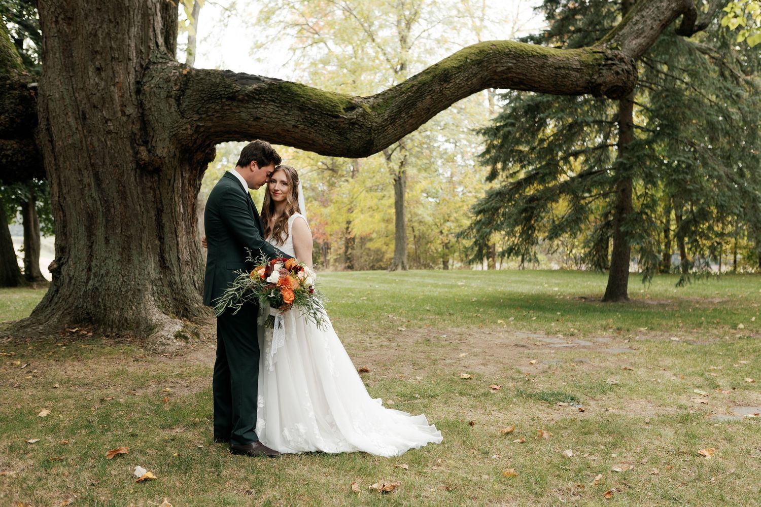 Bride and groom embracing under a large curved tree in a lush park, bride holding vibrant autumn bouquet.