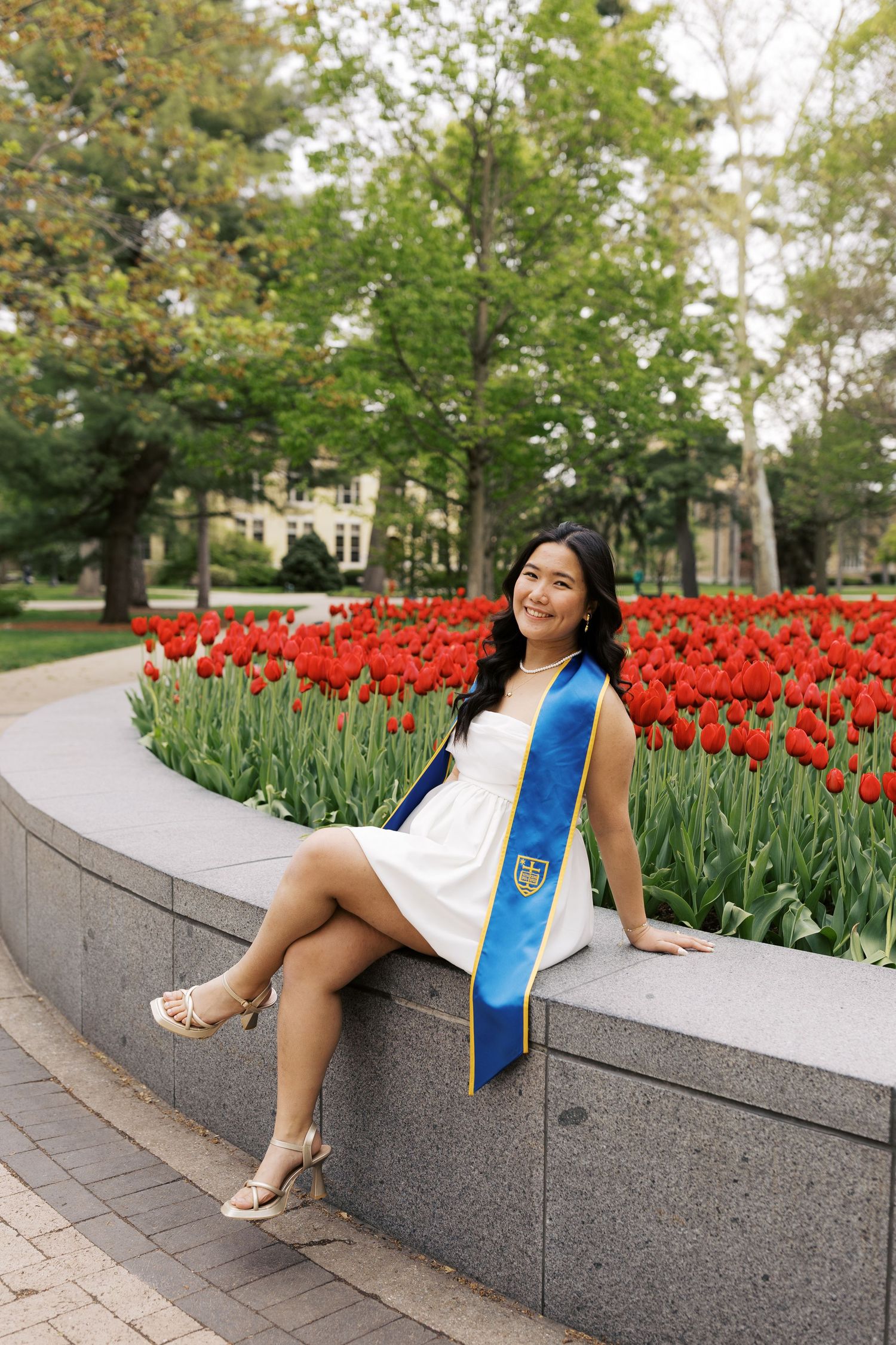 Graduate poses by red tulip garden wearing white dress and blue graduation sash.