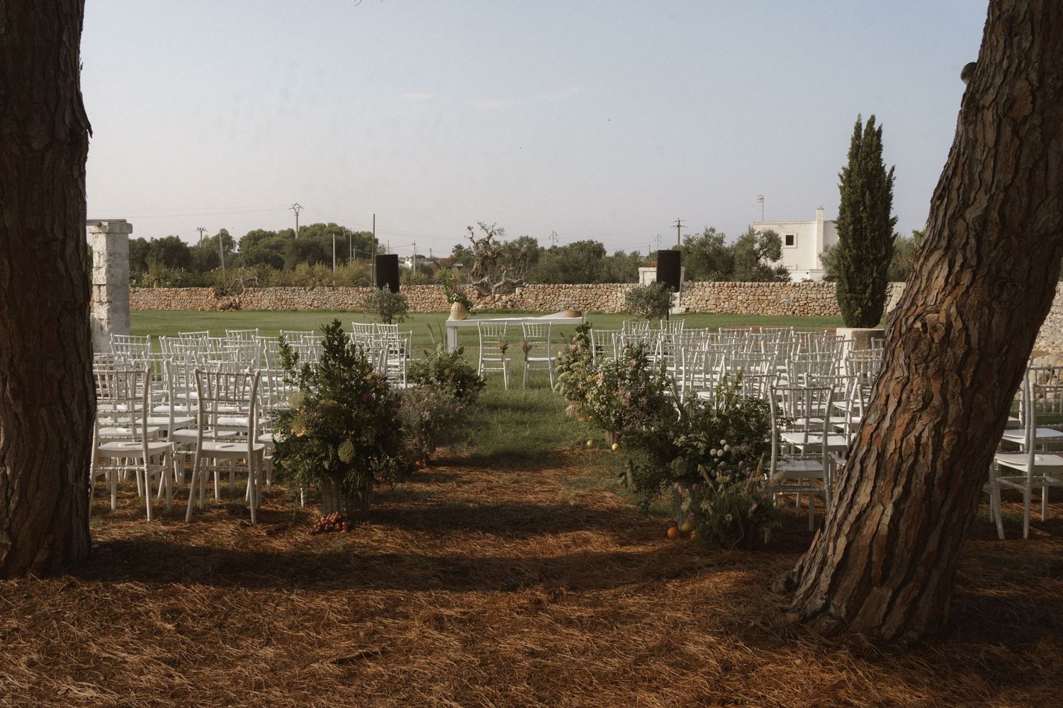 Rows of white chairs set up for an outdoor wedding ceremony between trees on a rustic path.