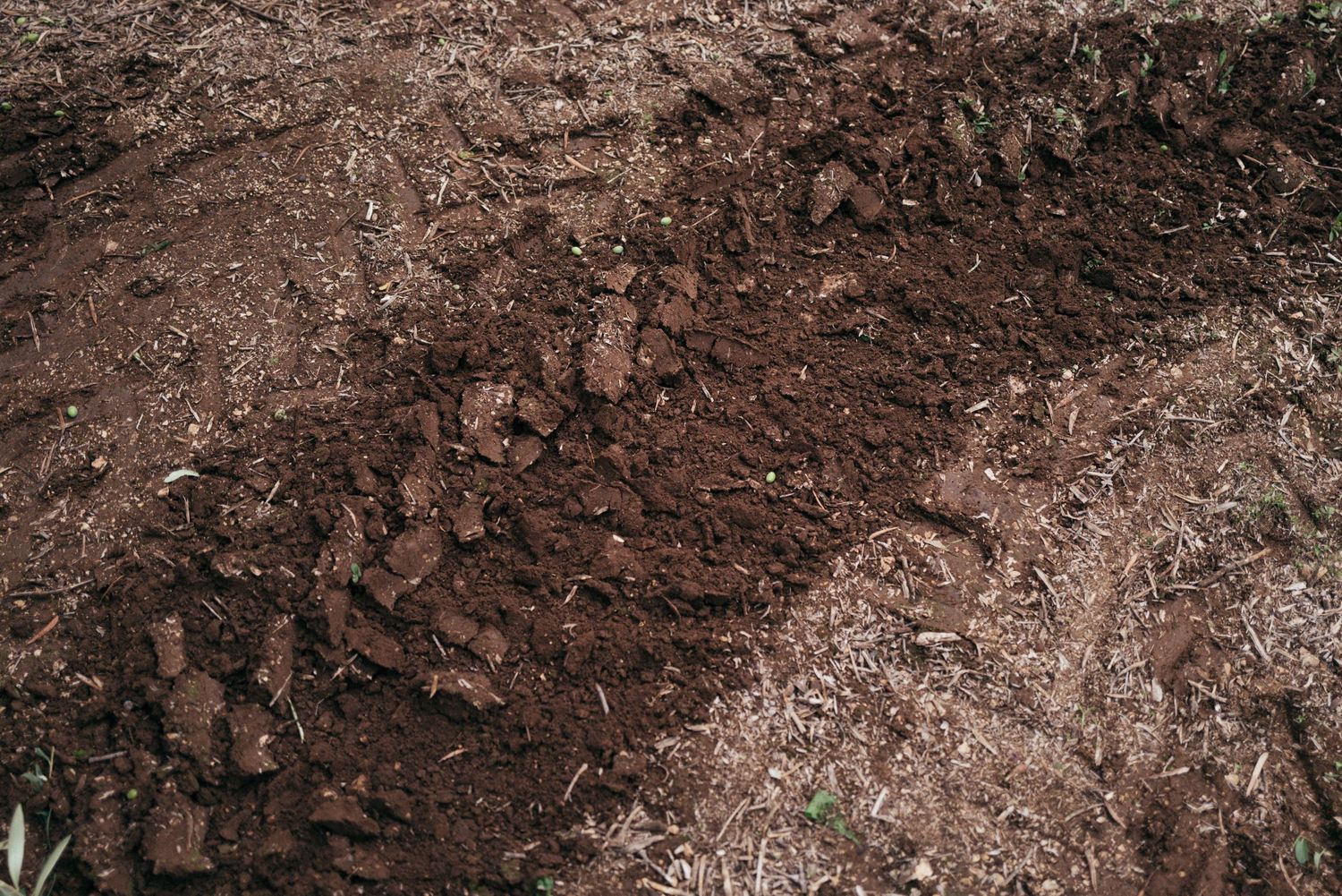 Close-up of rich brown soil texture in an agricultural field.