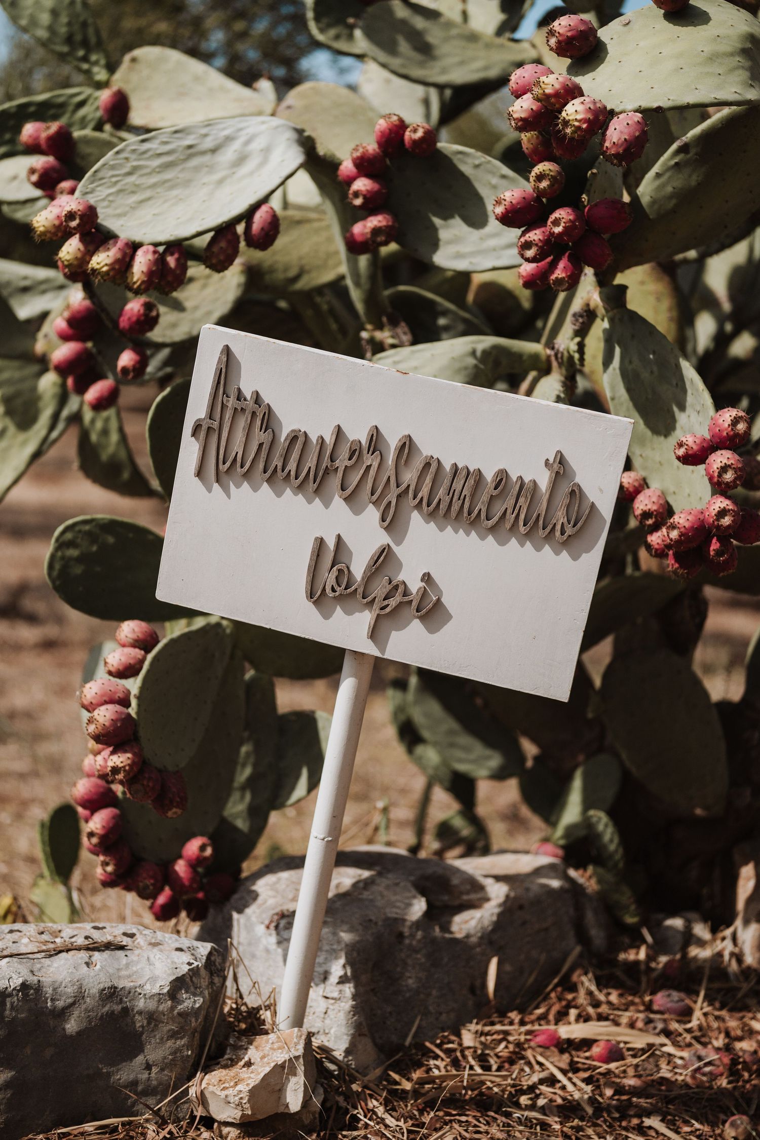 A handwritten sign placed among red berries and green leaves in a garden setting.