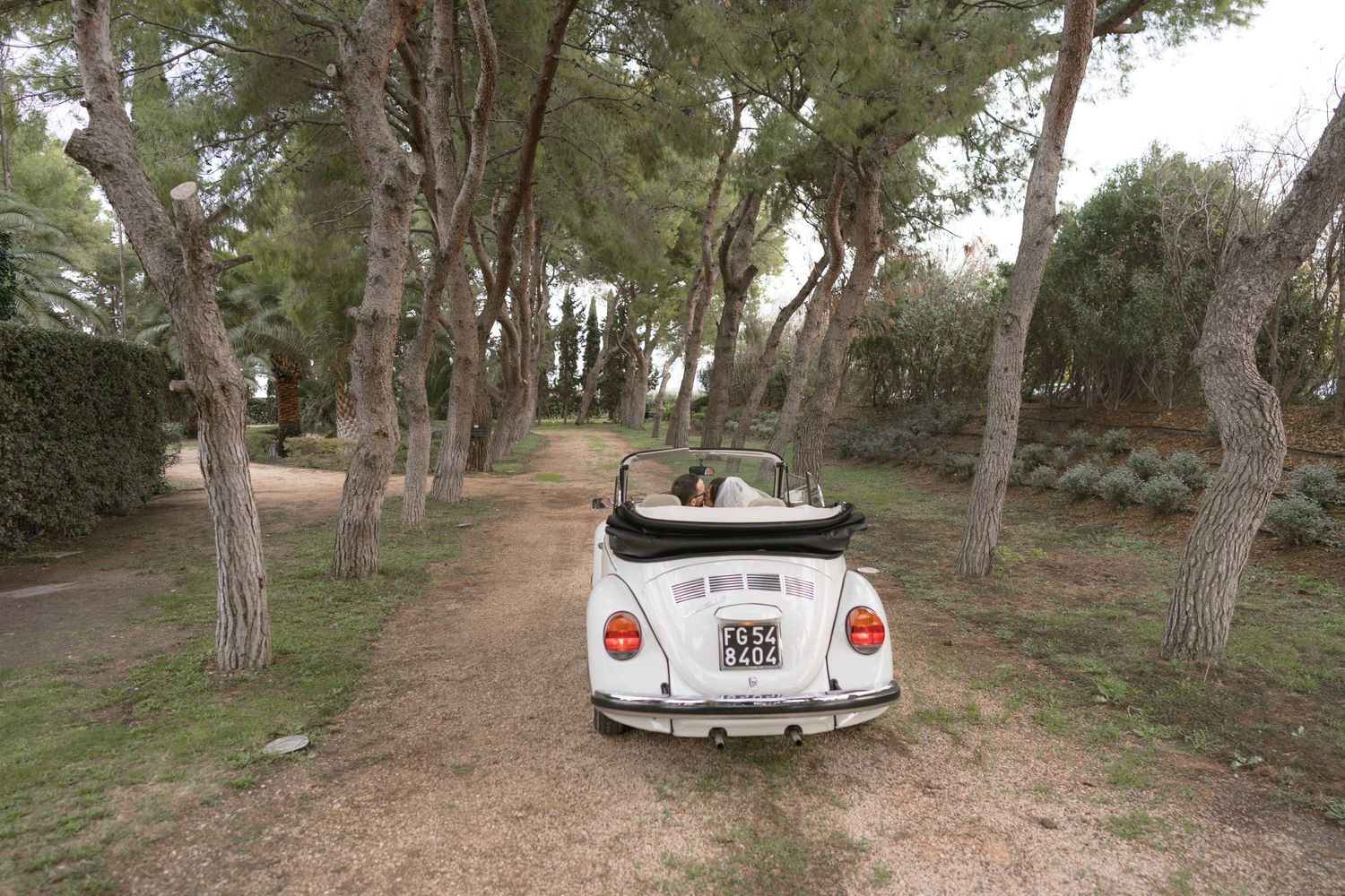 White vintage Volkswagen Beetle convertible parked on a tree-lined dirt path in a Mediterranean garden.