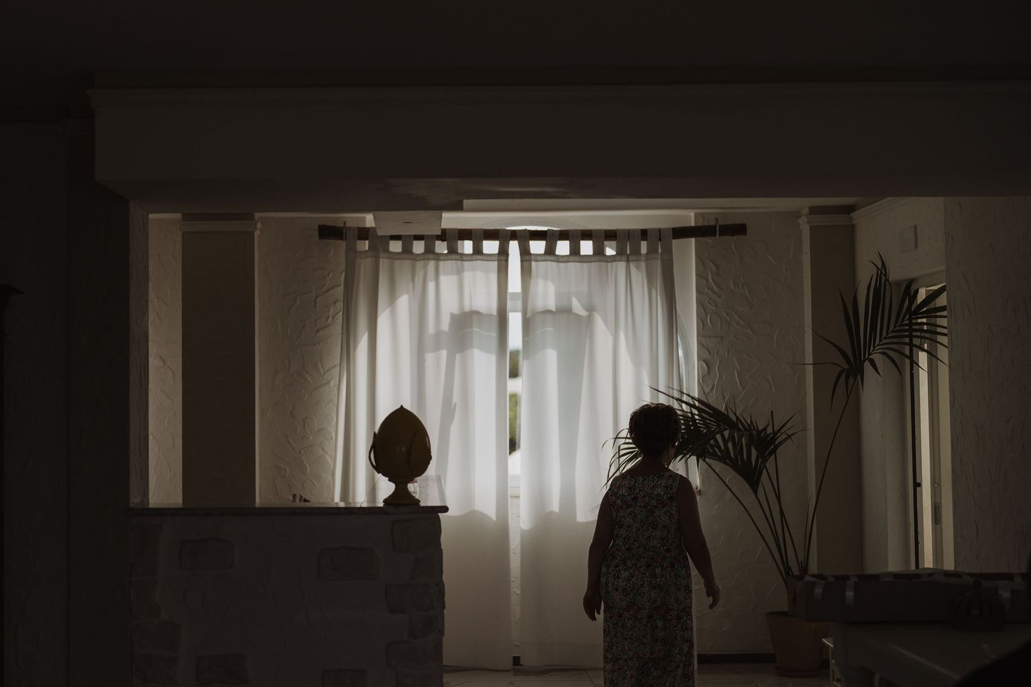 A silhouetted figure standing near curtained windows in a dark room with a potted plant.