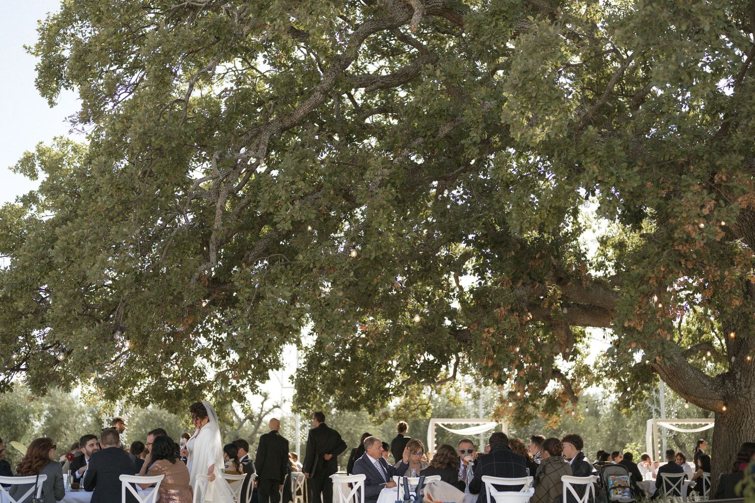 Wedding reception guests seated under large oak tree at elegant outdoor garden celebration.