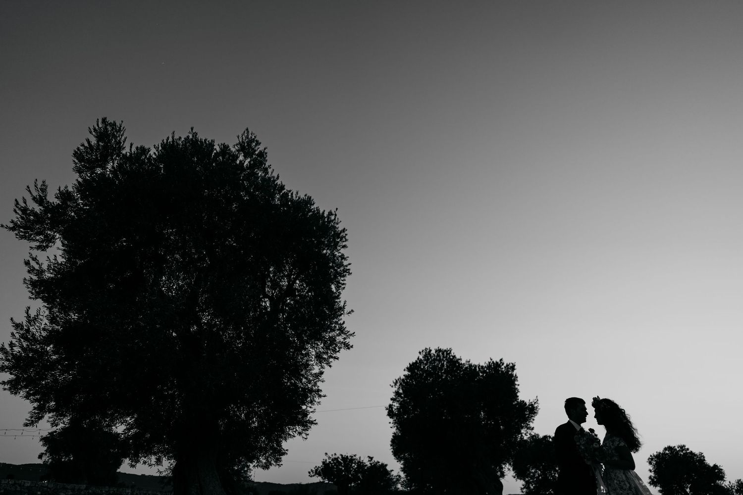 Silhouettes of figures against a dramatic sky with trees in the background.