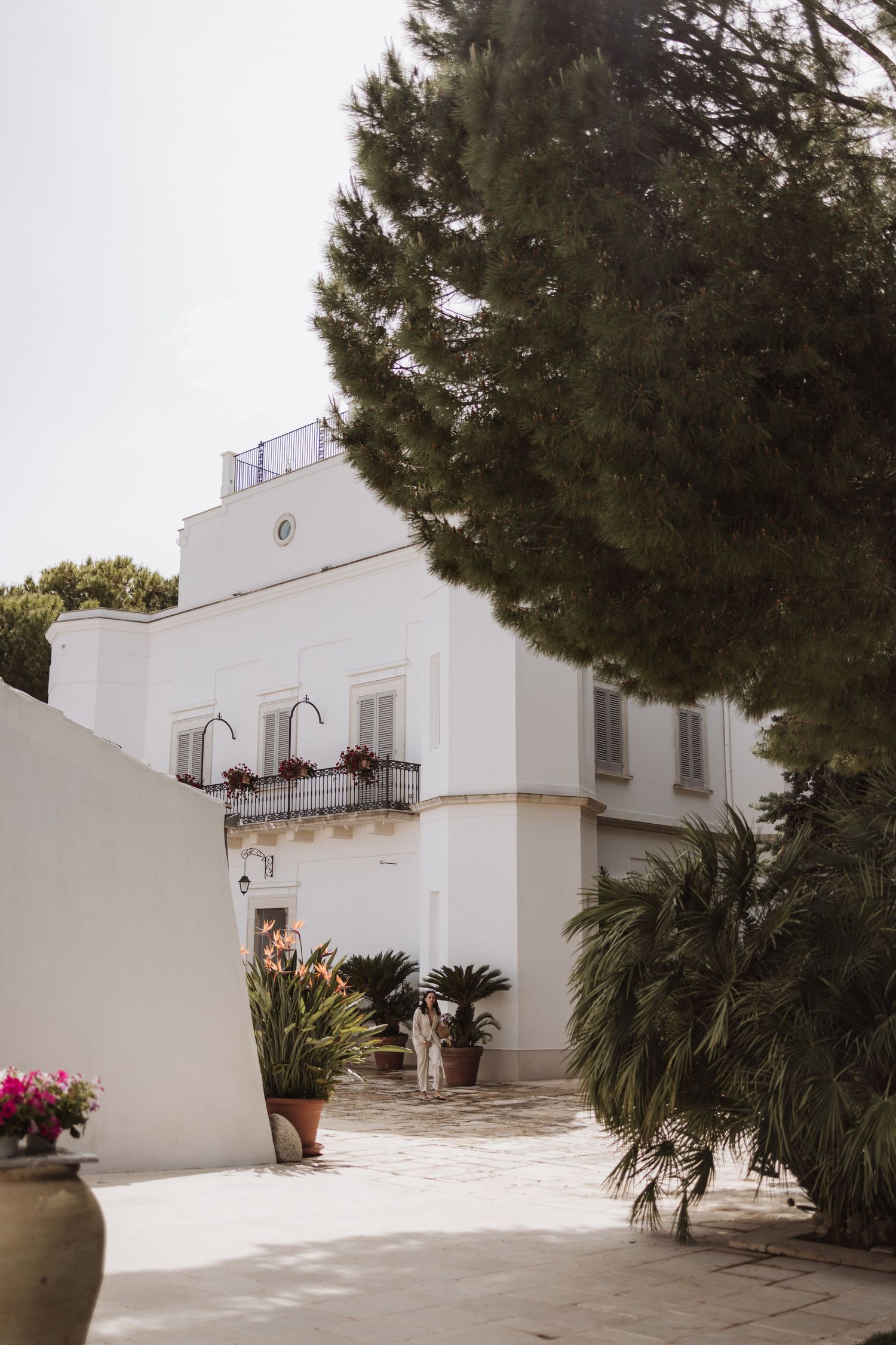 Mediterranean style white villa with balcony and potted plants under a large pine tree.