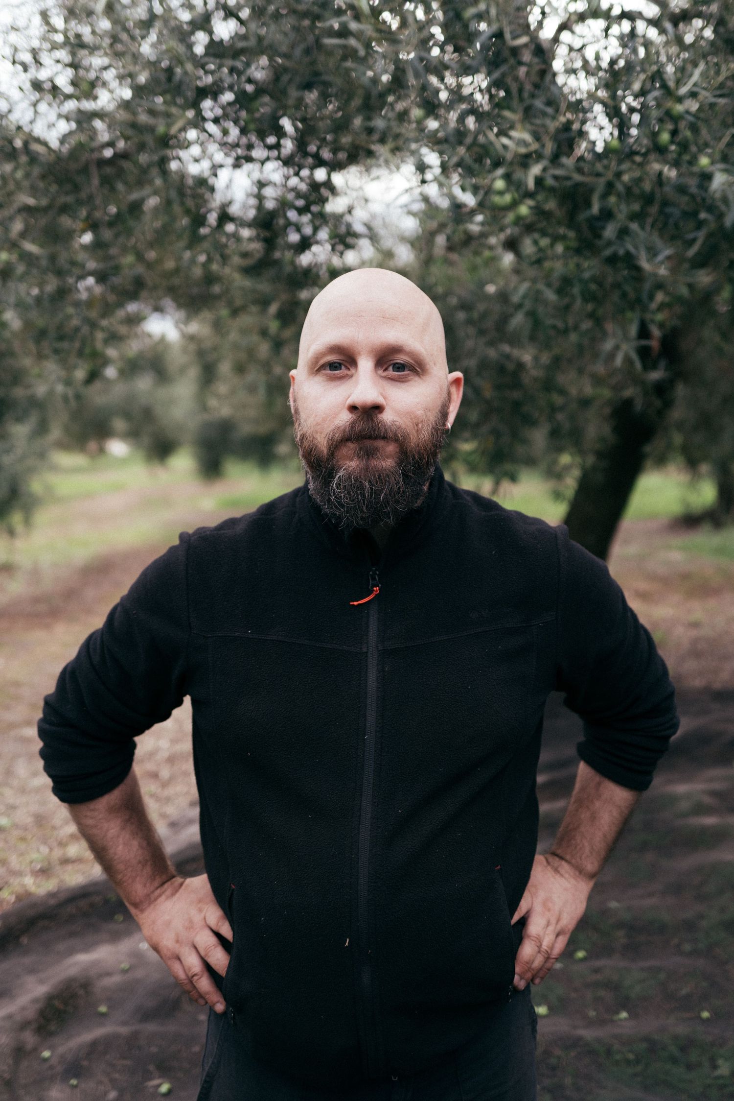 Portrait of a bald bearded man in black fleece jacket standing outdoors among olive trees.