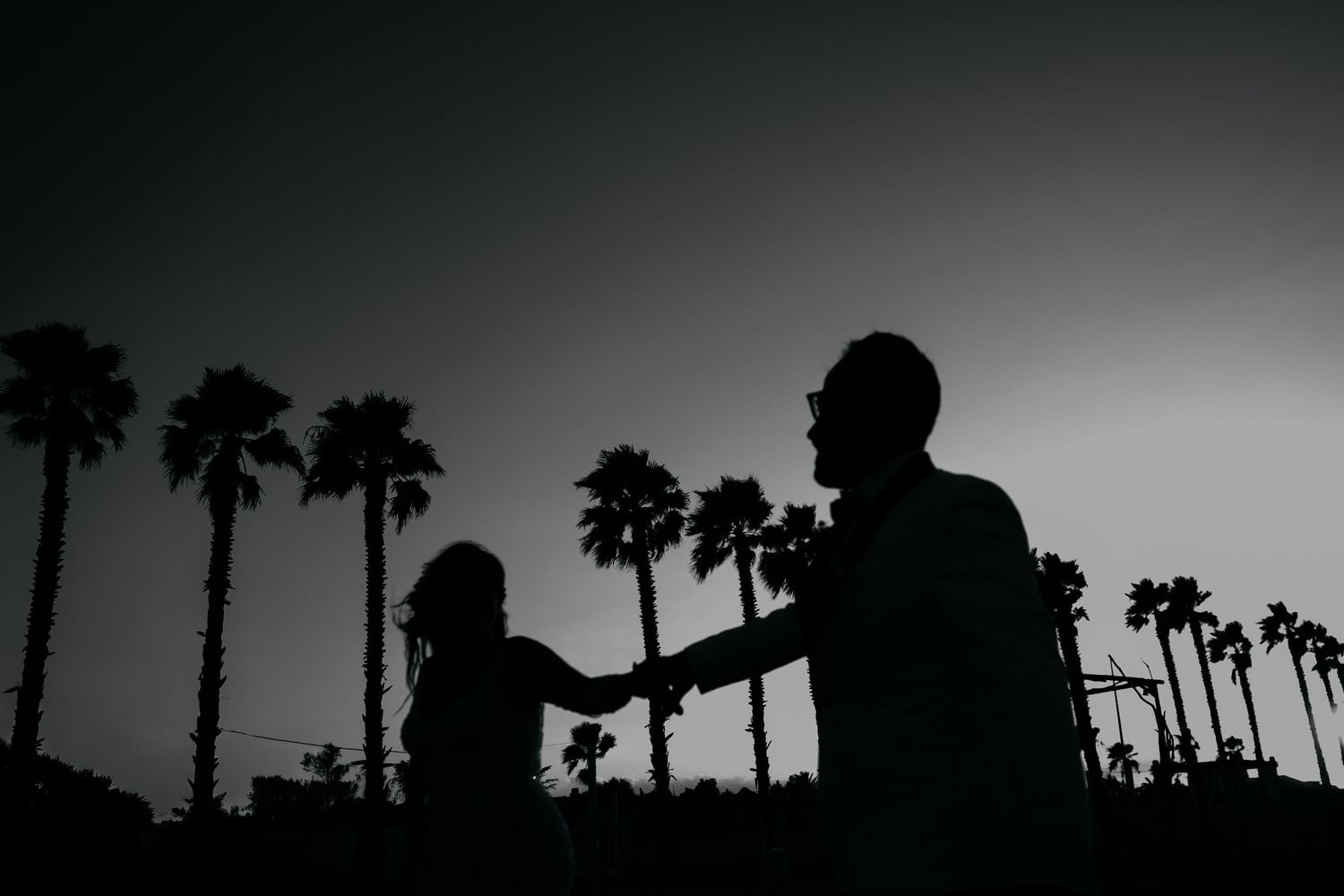 Silhouettes of palm trees against a dramatic sunset sky creating a moody tropical landscape.