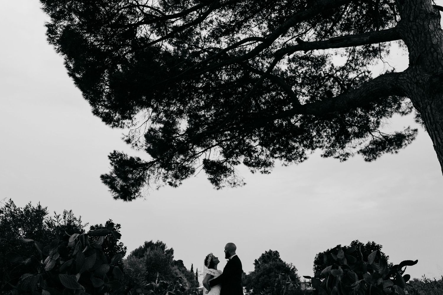 A silhouetted romantic moment under a large tree during a wedding ceremony.