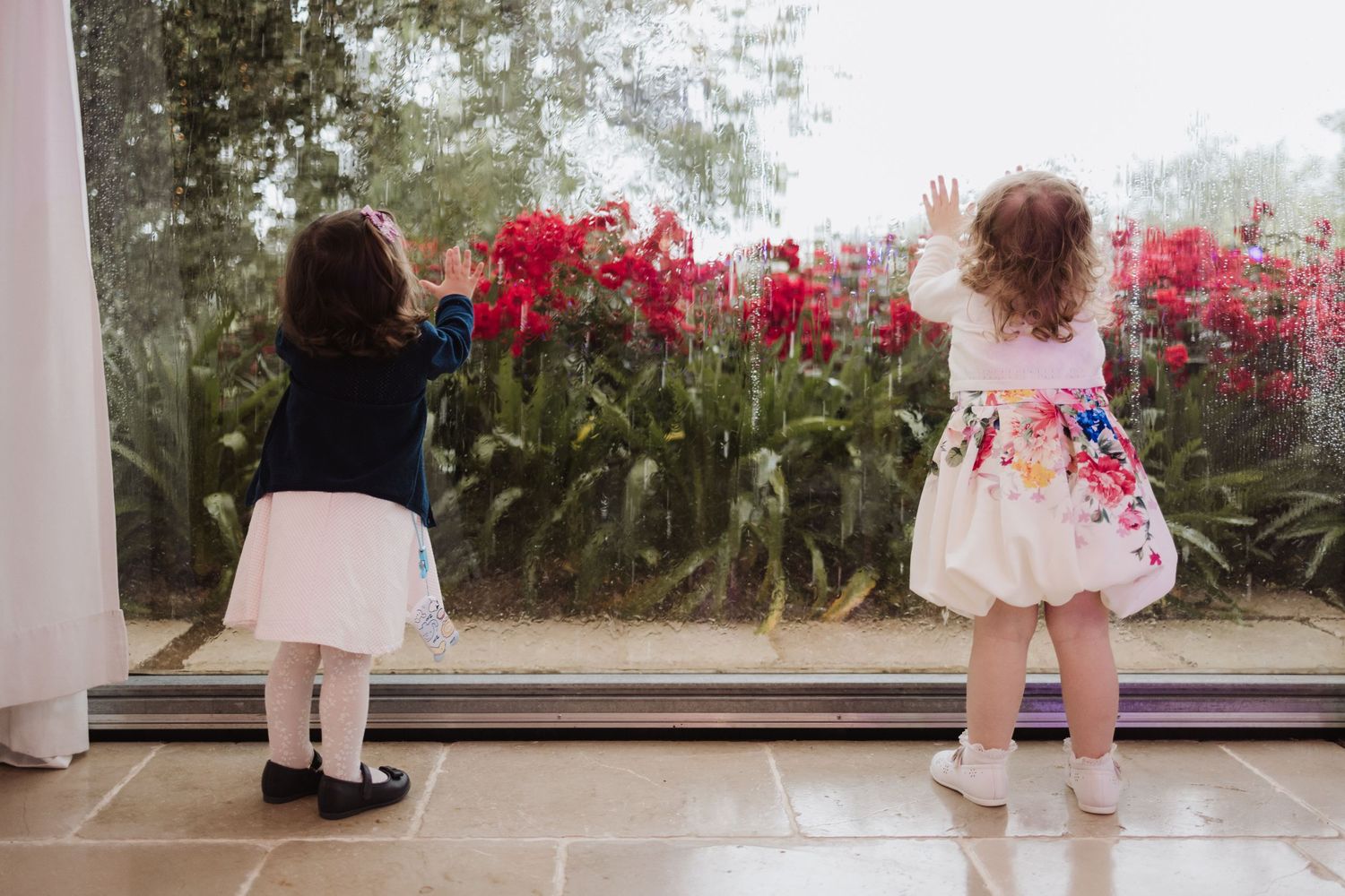 Two children gaze out at a garden of red flowers through a large window.