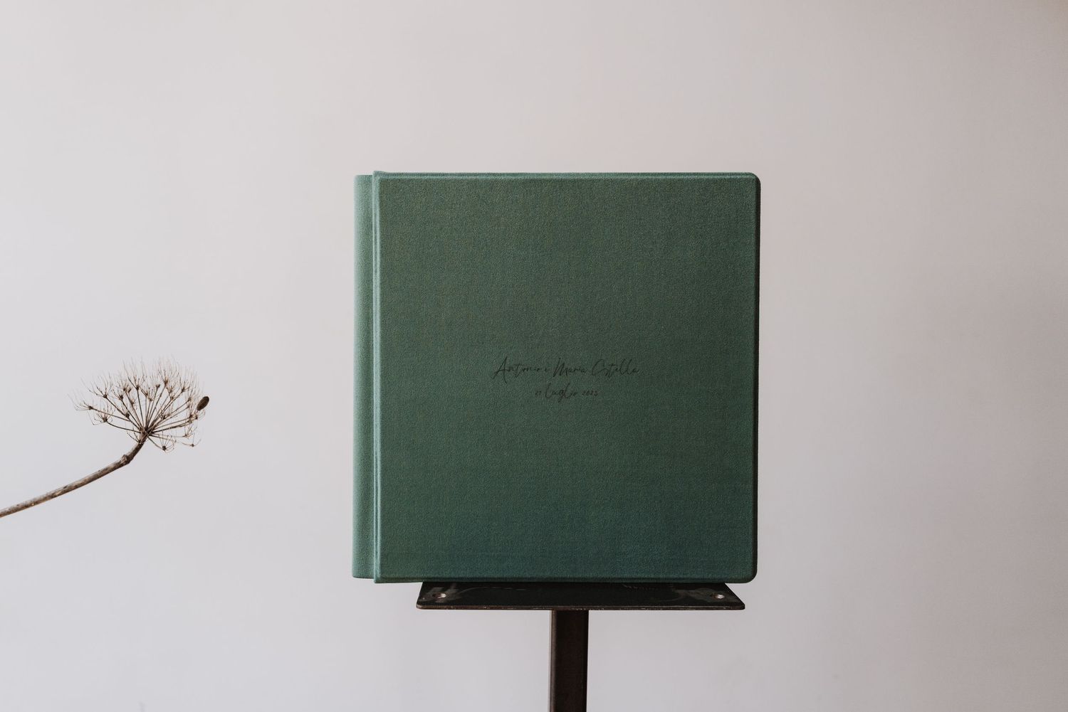 A dark green leather-bound book stands on a black pedestal with a dried flower stem beside it.