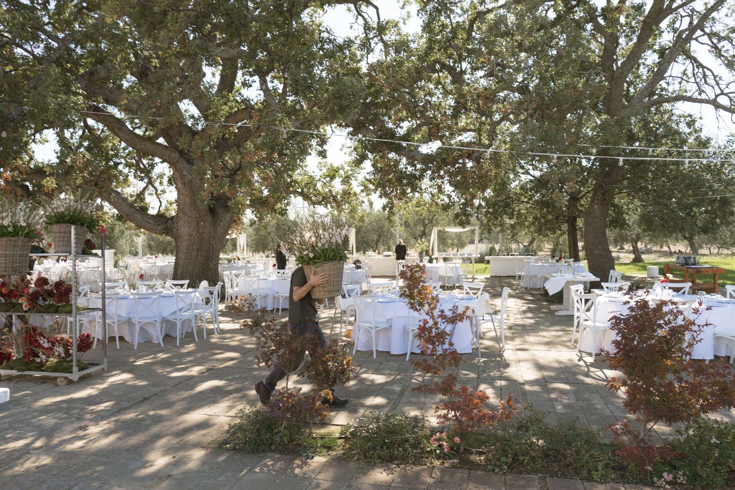 Outdoor wedding reception setup with white tables under large oak trees in a garden.