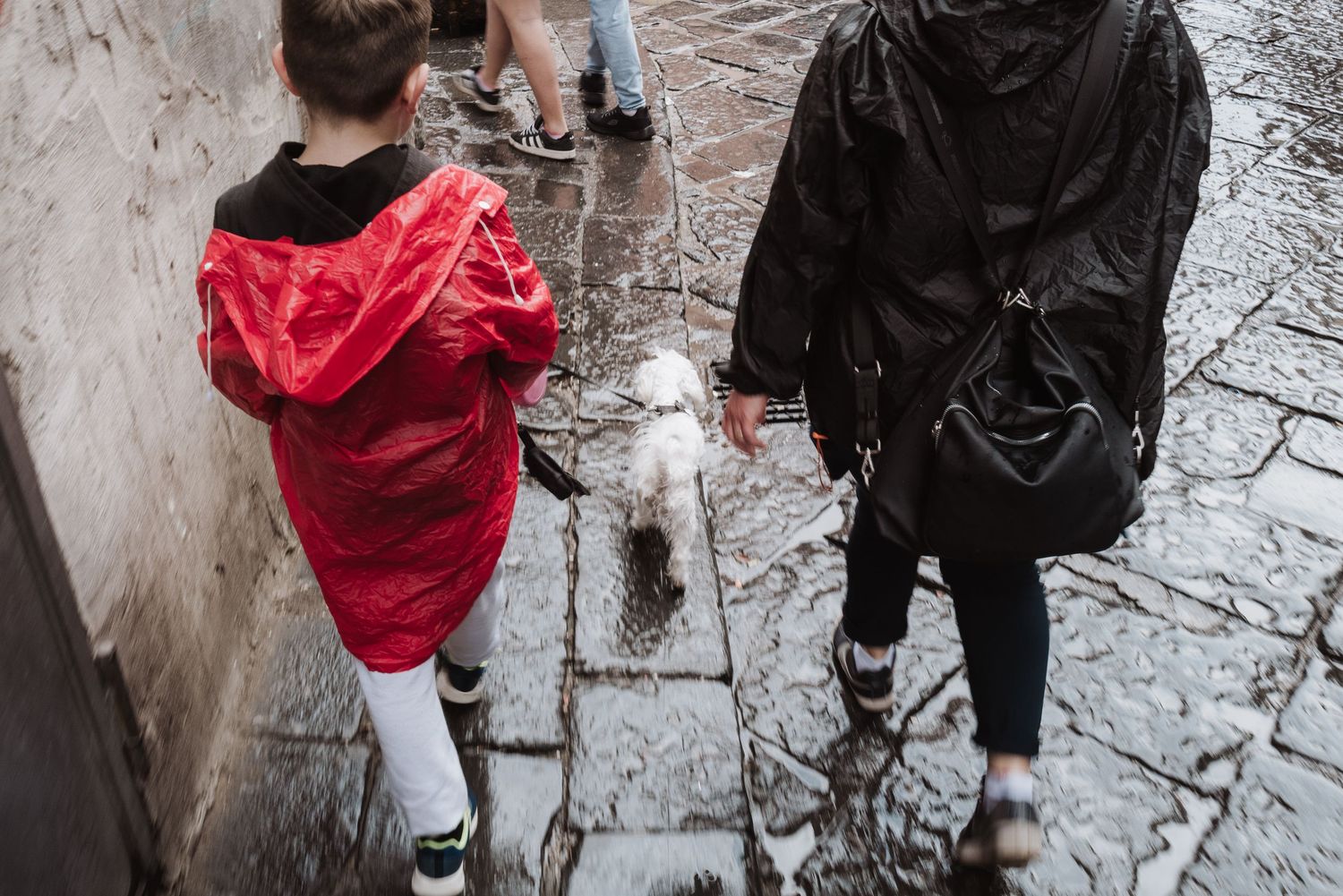 Two people walking on wet cobblestone street in rain gear on a rainy day.