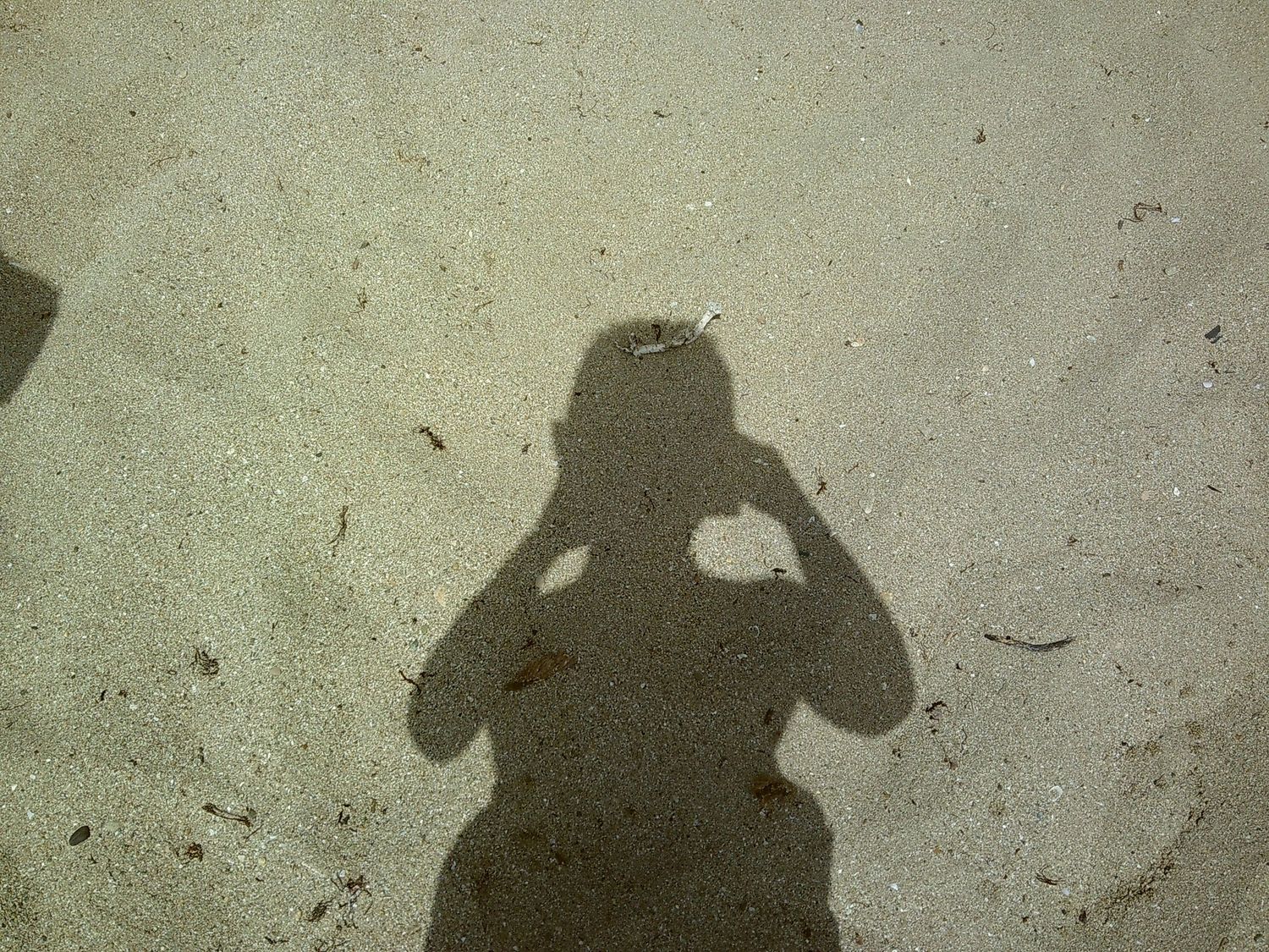 A shadow self-portrait cast on concrete ground shows photographer taking picture.