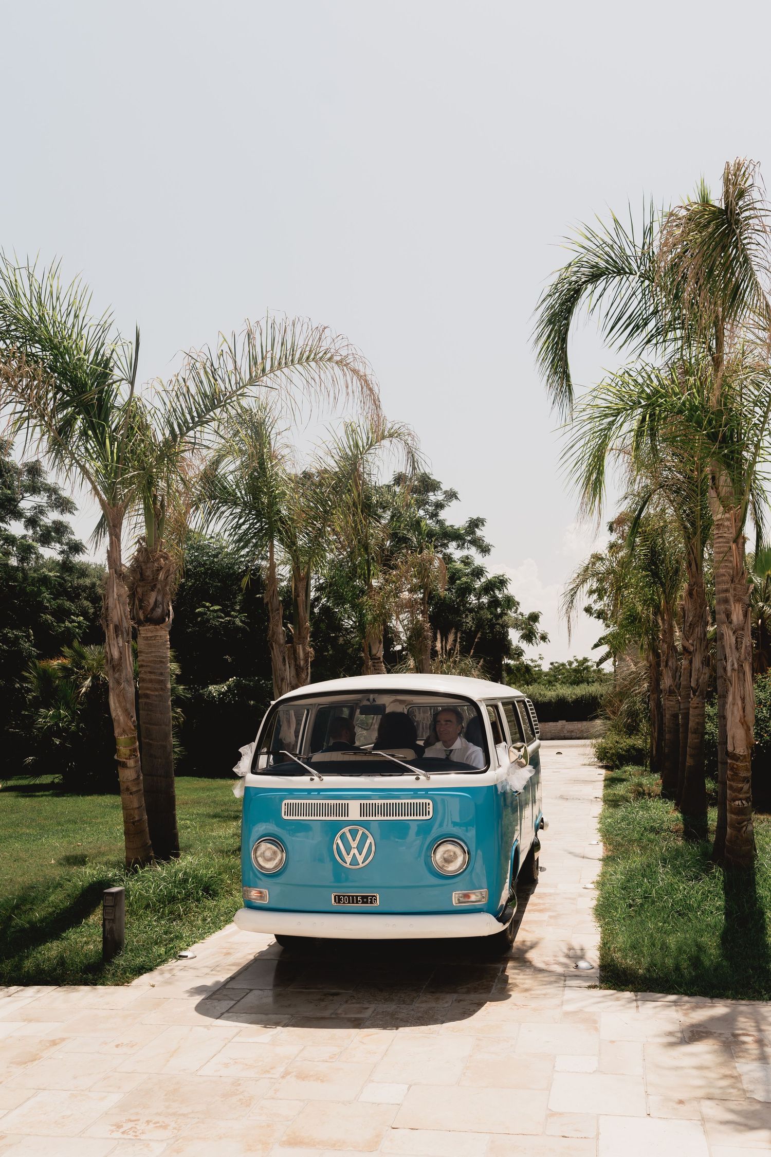 Vintage blue and white Volkswagen van parked along a palm tree-lined driveway.
