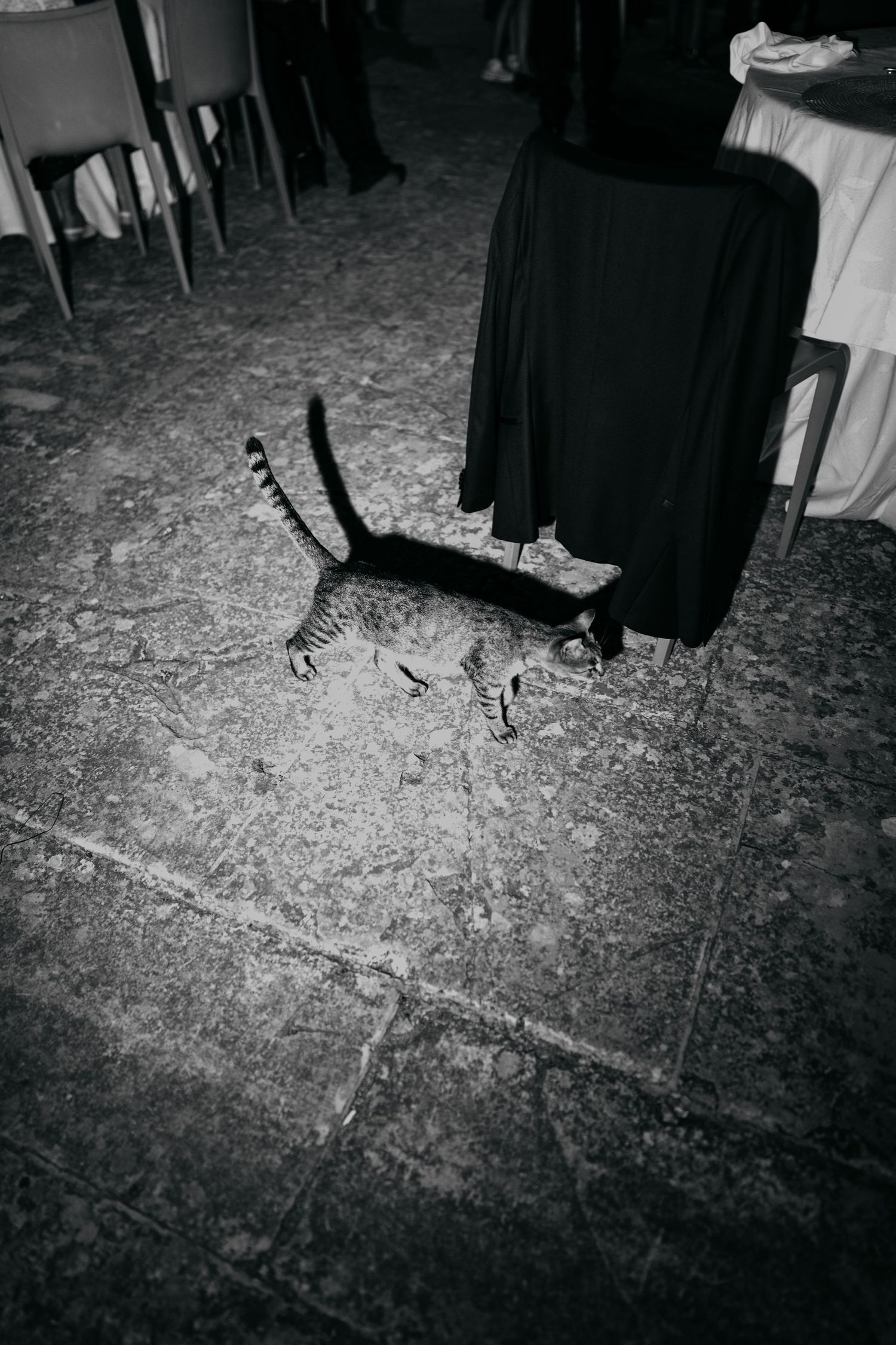 A black cat stretches on the ground near a dark piece of clothing at an event.