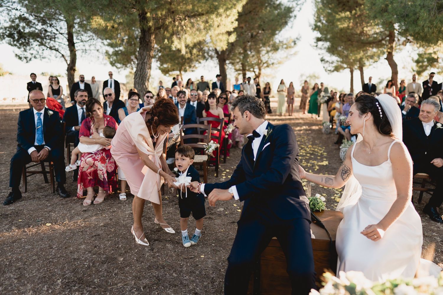 Wedding guests dance and celebrate together at a scenic outdoor reception among pine trees at sunset.