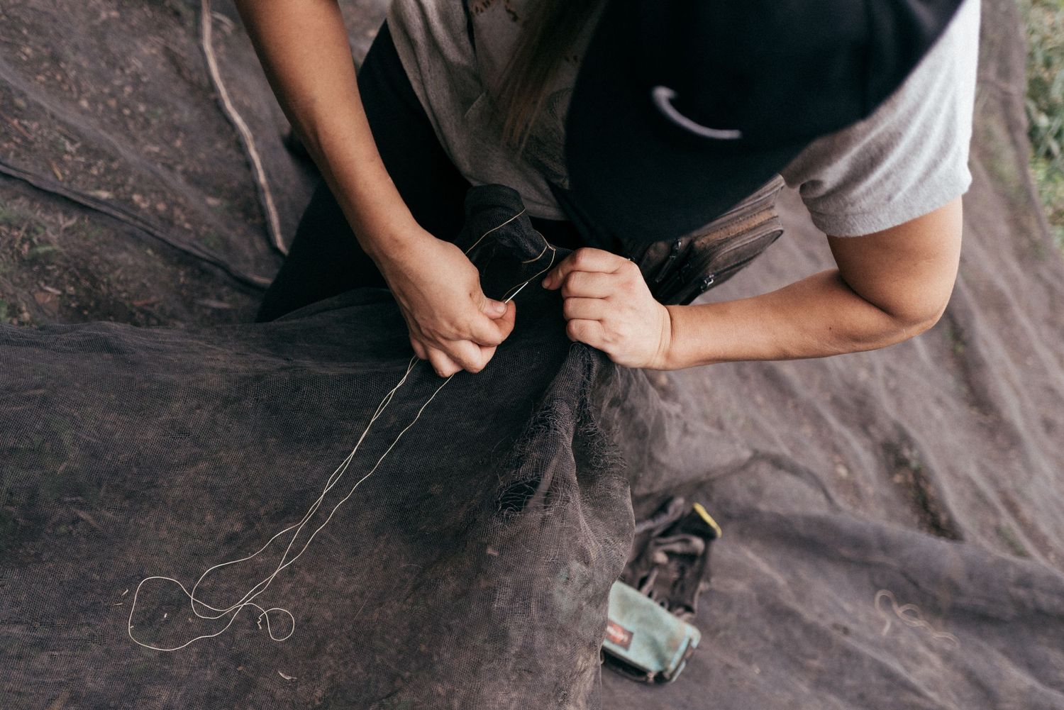 Close-up of hands working with twine and tools during olive harvesting process.